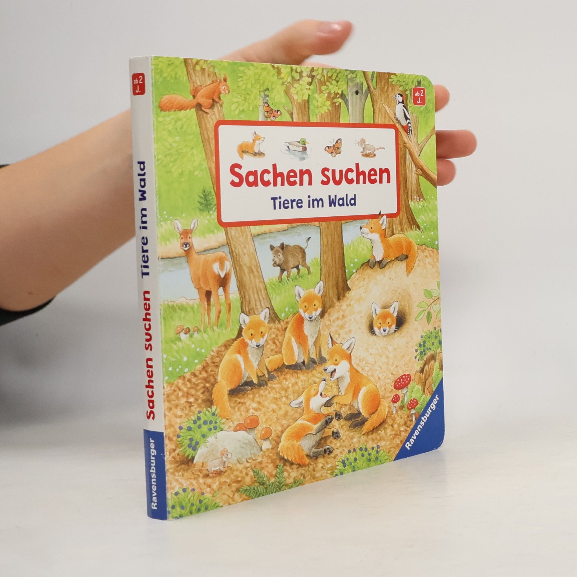 Susanne Gernhäuser Sachen suchen: Tiere im Wald