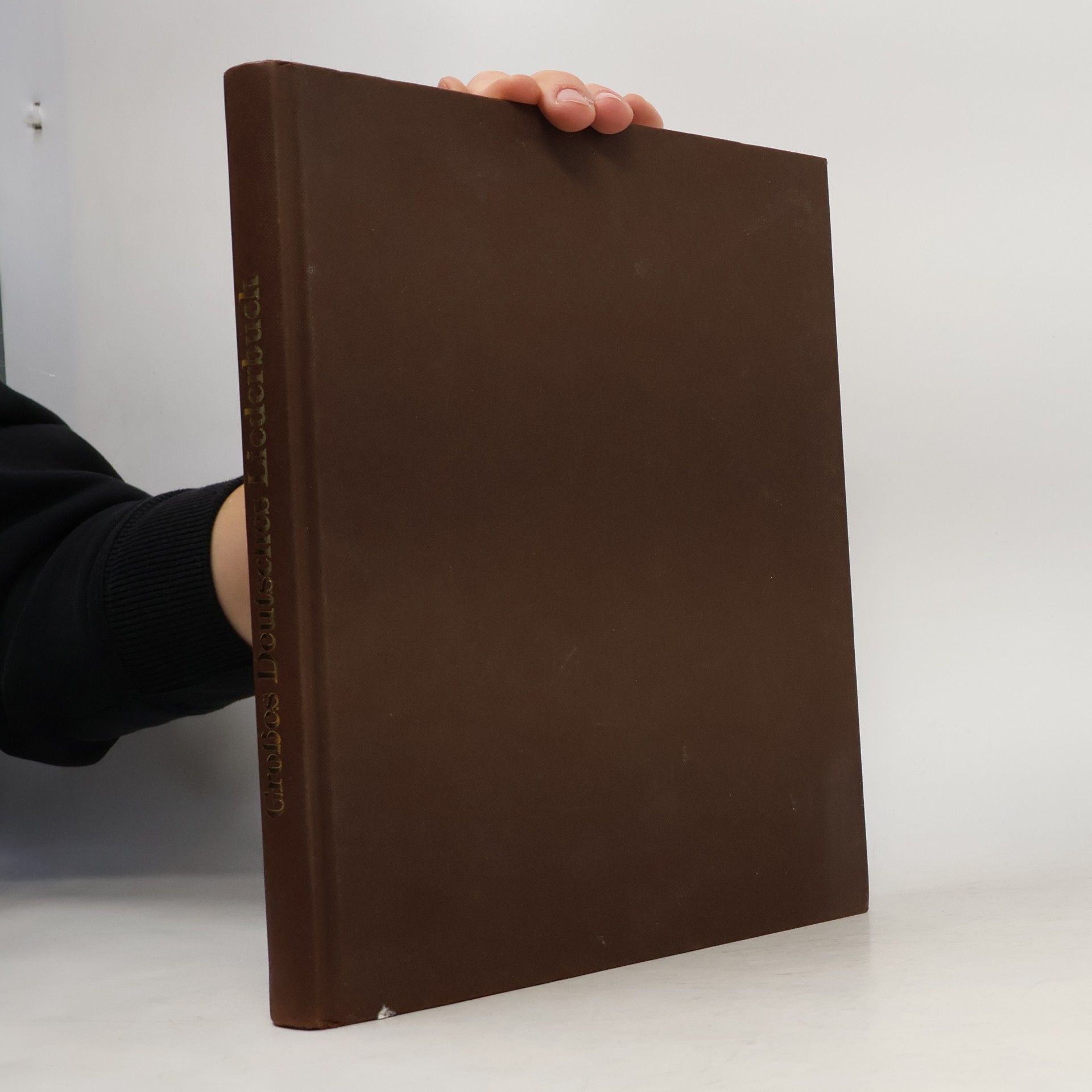 Monika Koster Großes deutsches Liederbuch