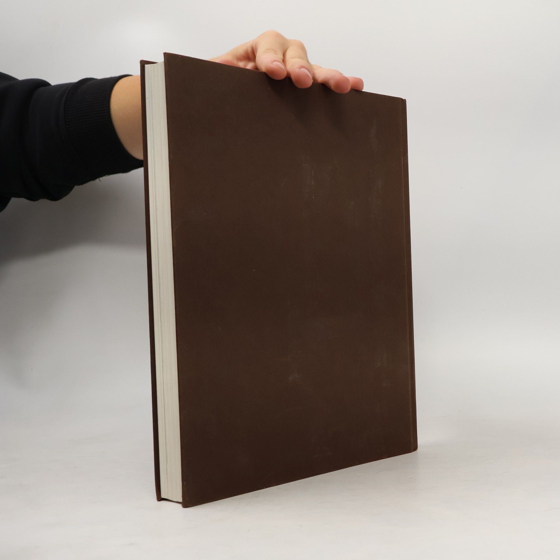 Monika Koster Großes deutsches Liederbuch