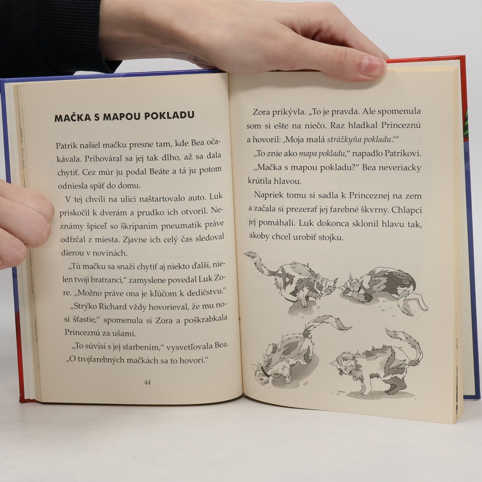 Thomas Brezina Záhada trojfarebnej mačky