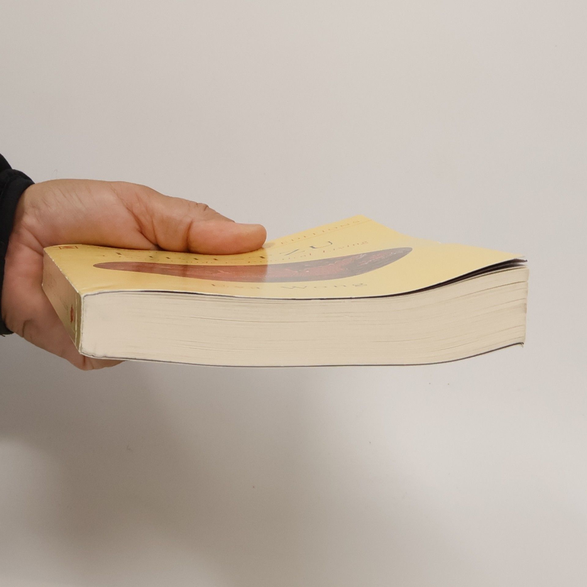 Eva Wong Lieh-Tzu