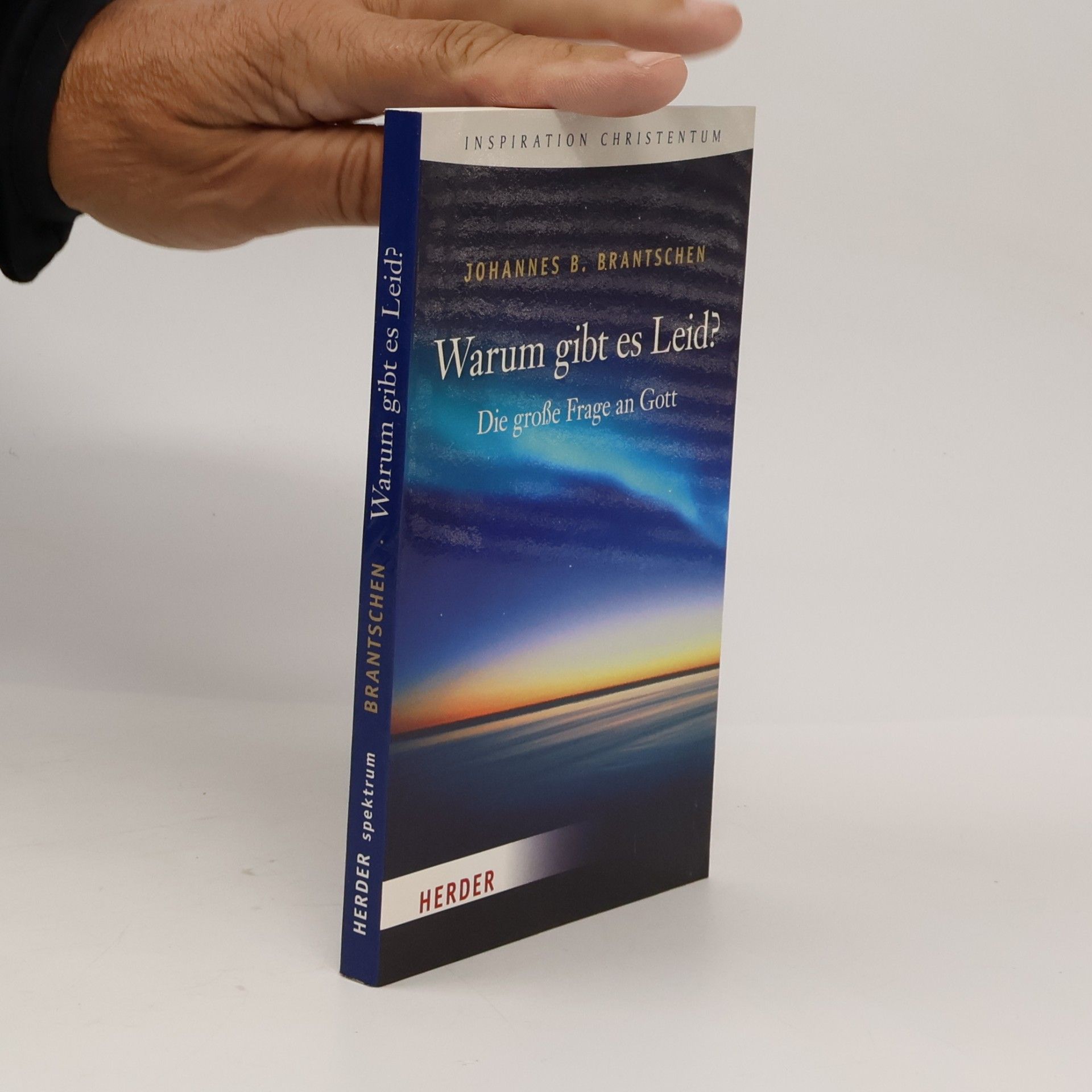 Johannes B. Brantschen Warum gibt es Leid?. Die große Frage an Gott
