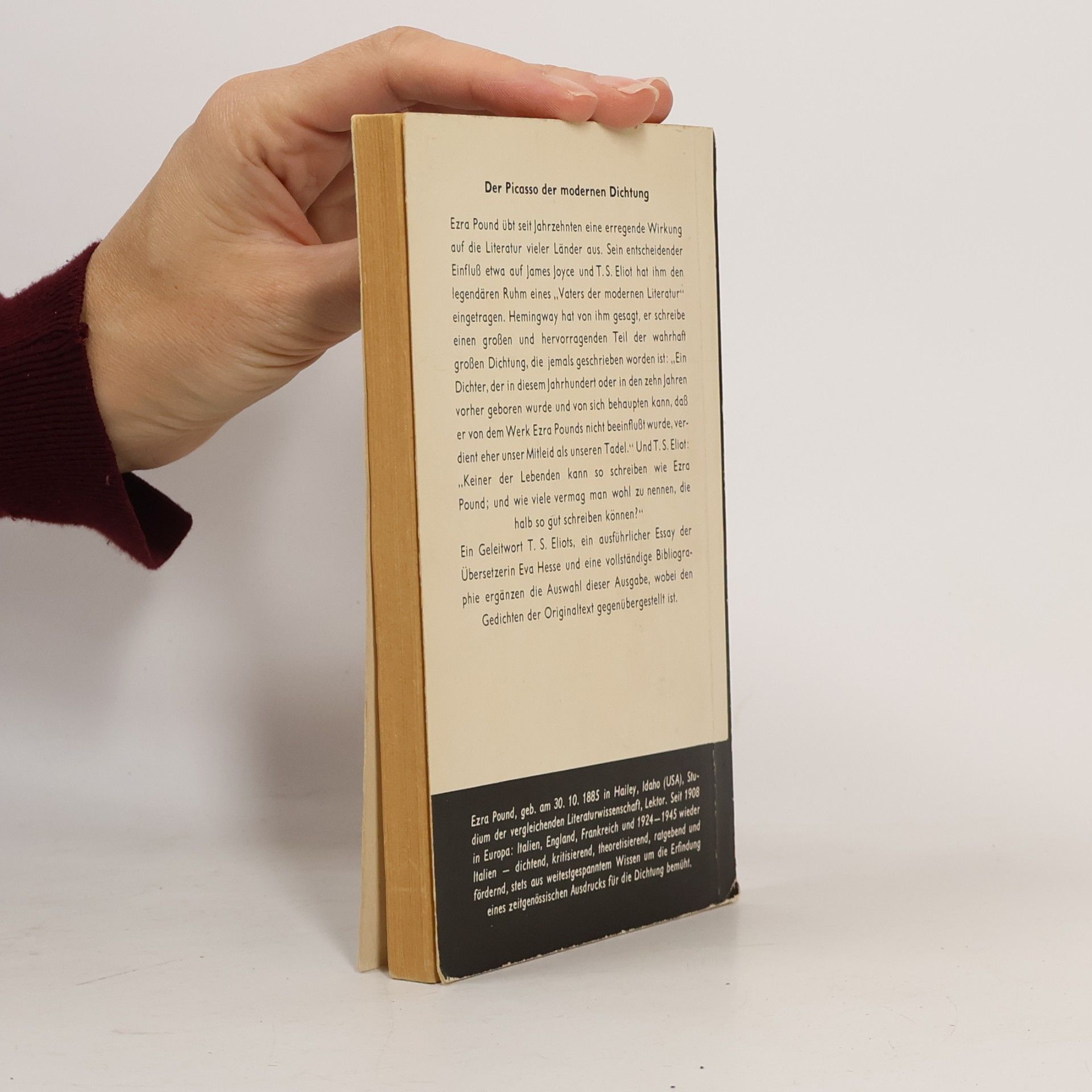 Ezra Pound Dichtung und Prosa