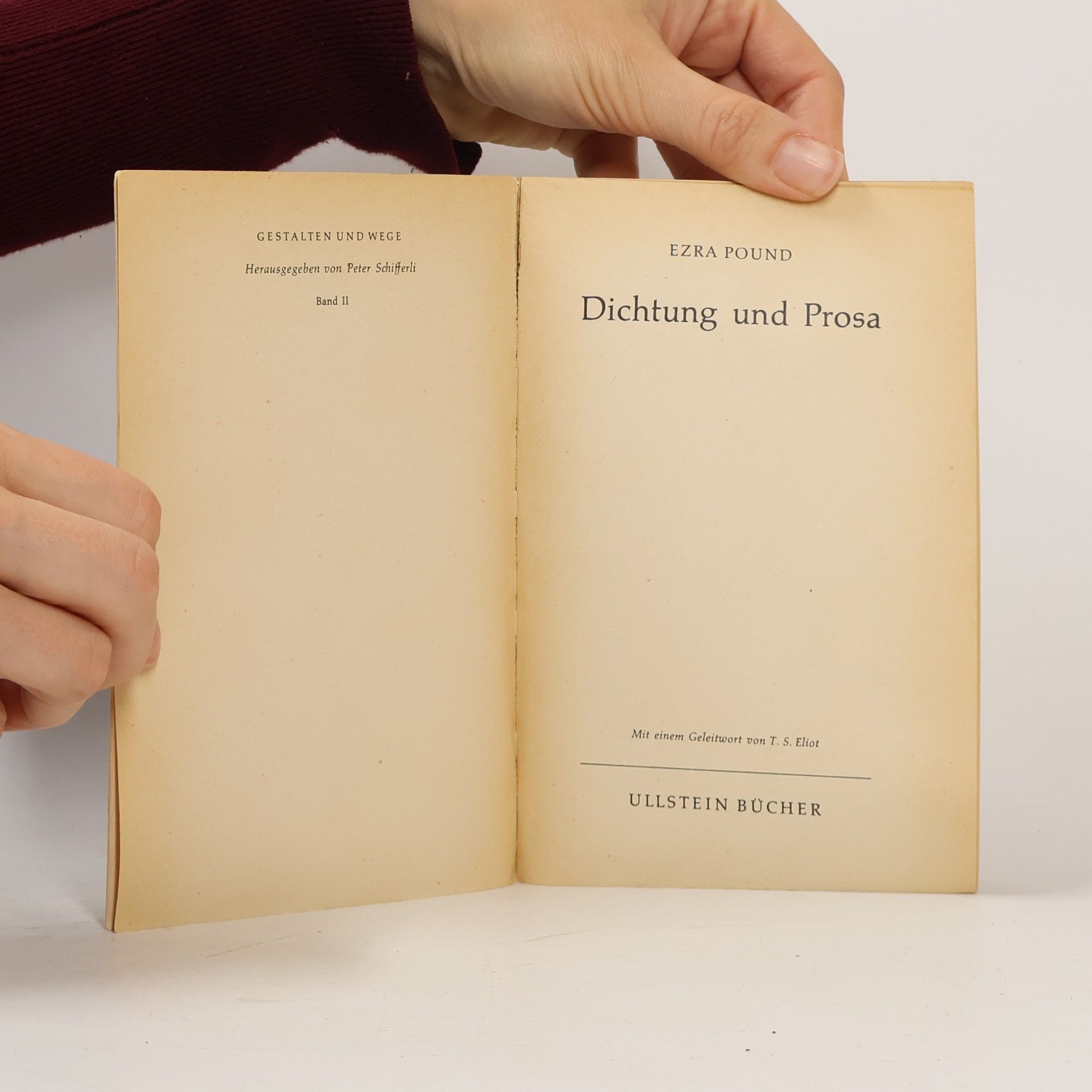 Ezra Pound Dichtung und Prosa