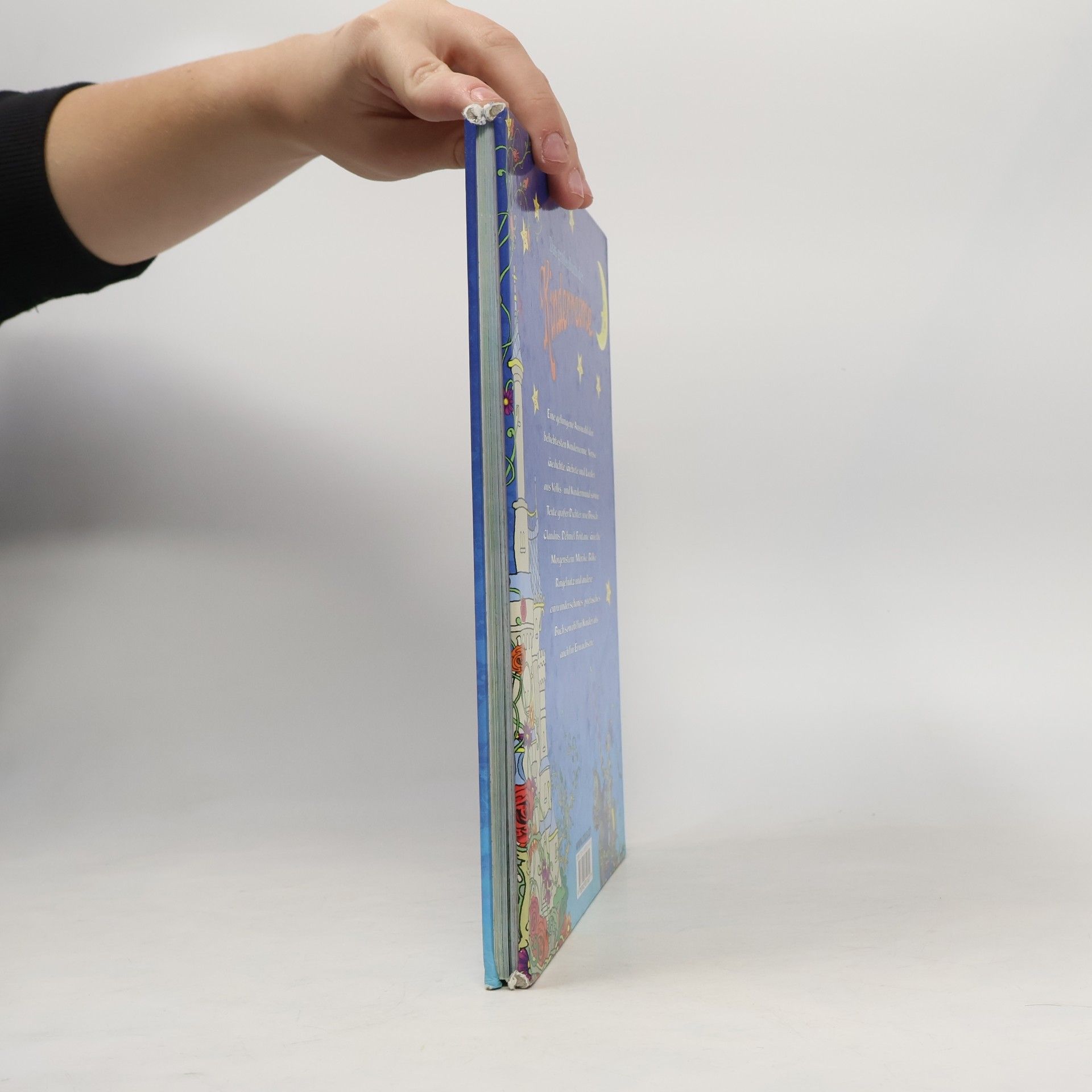 Autores varios Das grosse Buch der Kinderreime