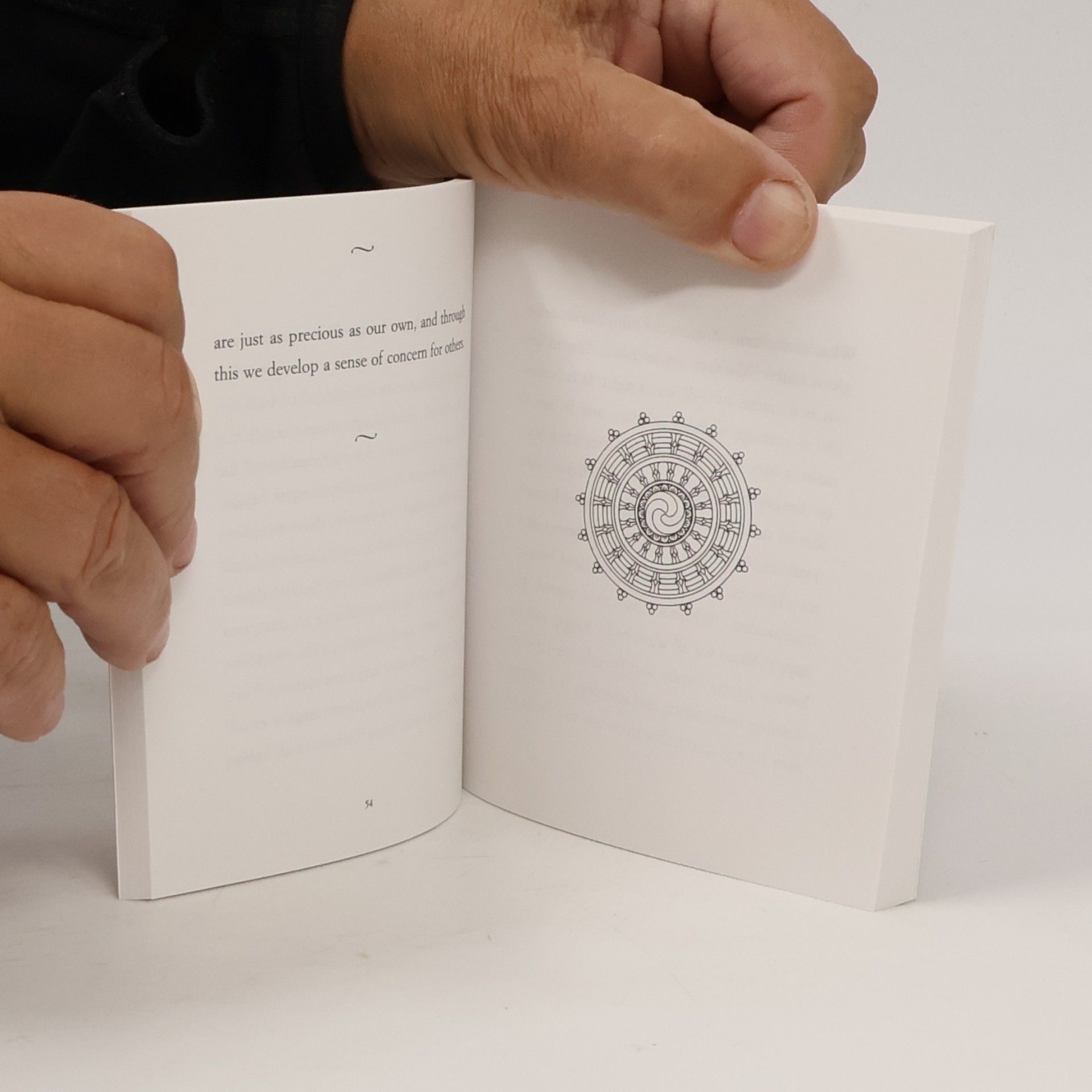 Dalai Lama XIV Bstan-ʾdzin-rgya-mtsho The Dalai Lama's book of love and compassion