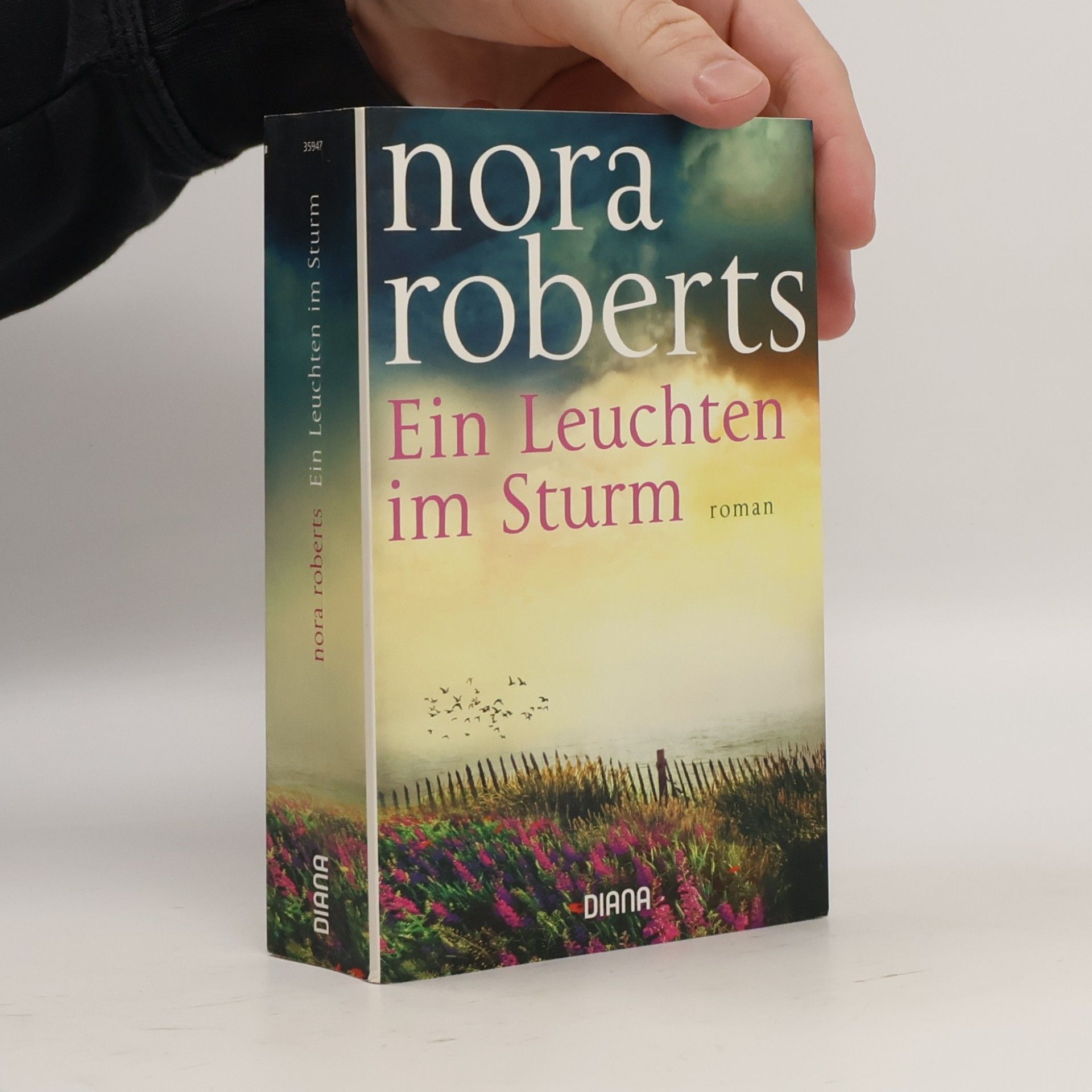 Nora Roberts Ein Leuchten im Sturm