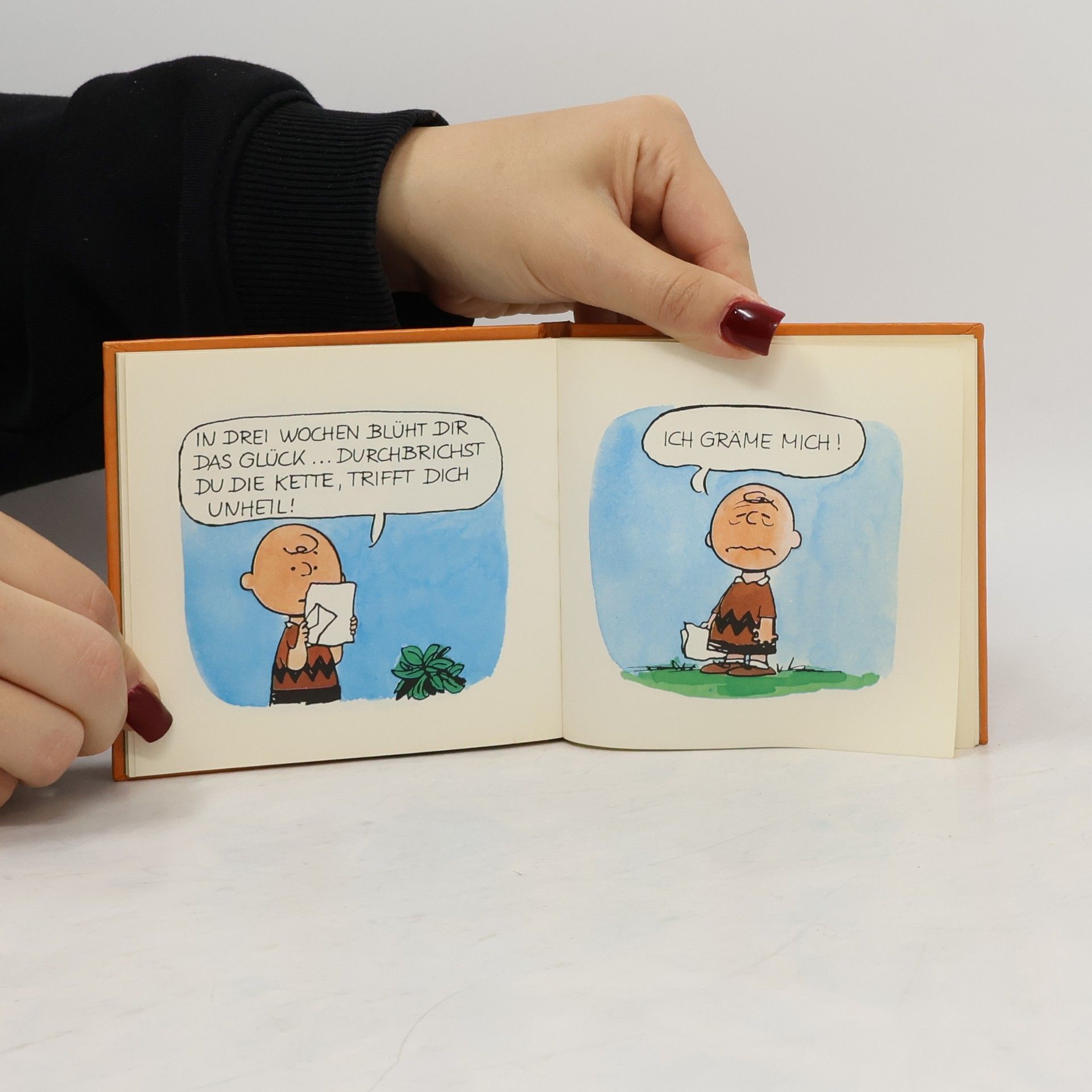 Charles M. Schulz Lieber Brieffreund