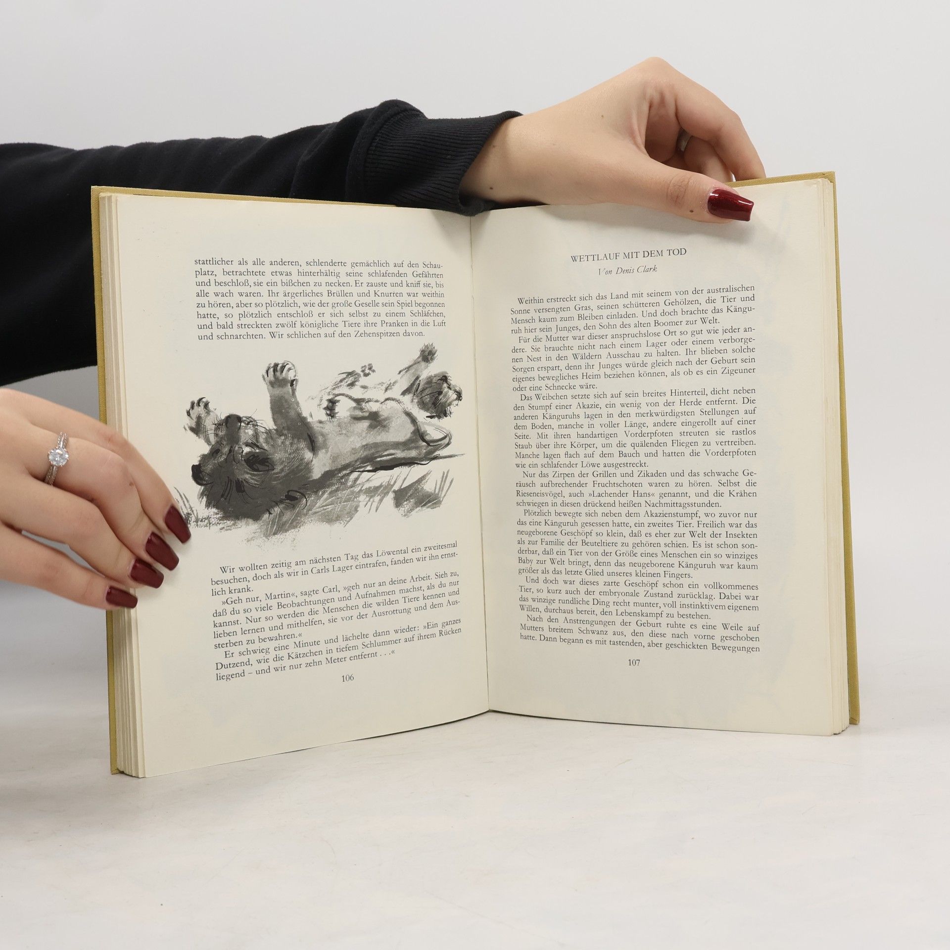 Autores varios Das grosse Buch der wilden Tiere