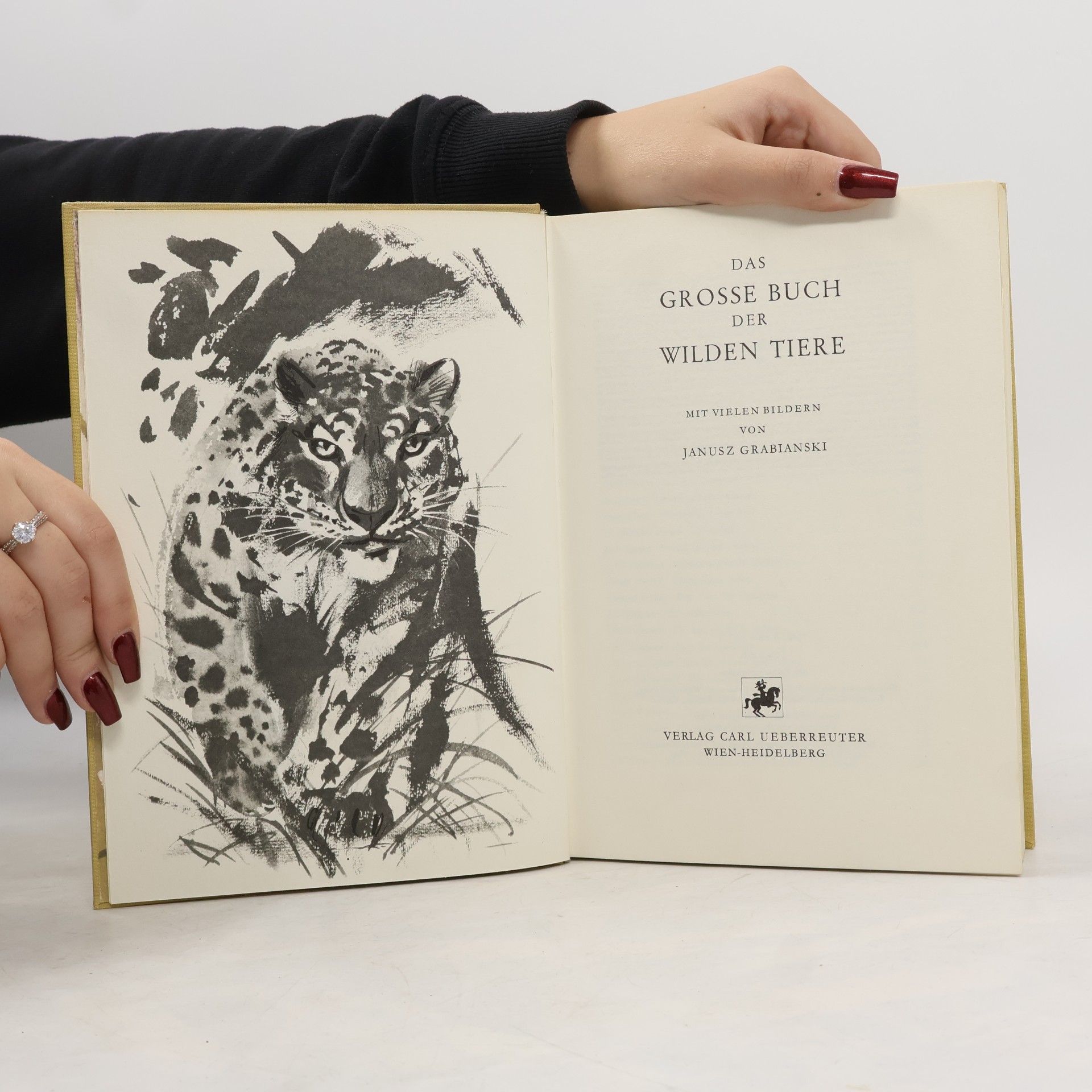 Autores varios Das grosse Buch der wilden Tiere