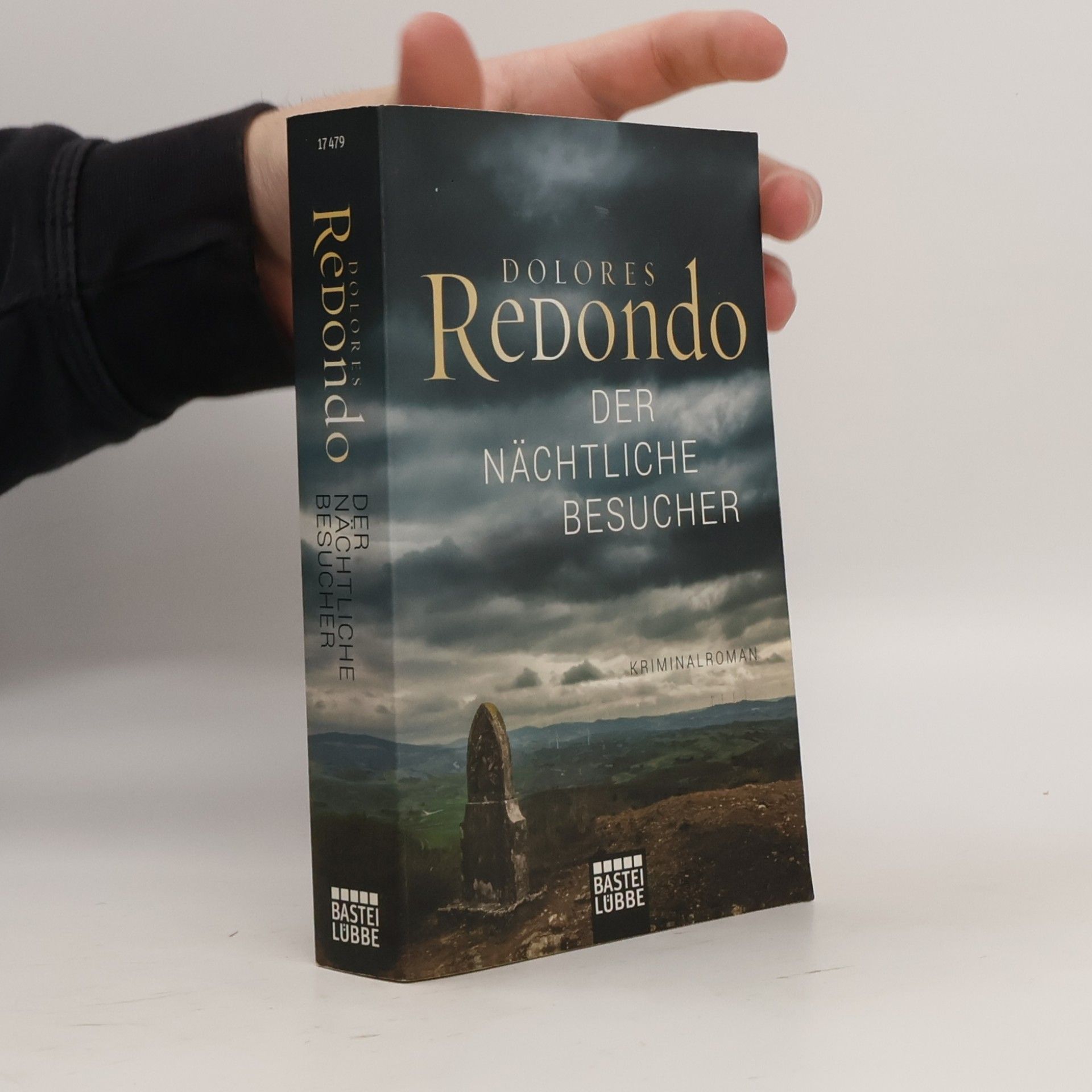 Dolores Redondo Der nächtliche Besucher