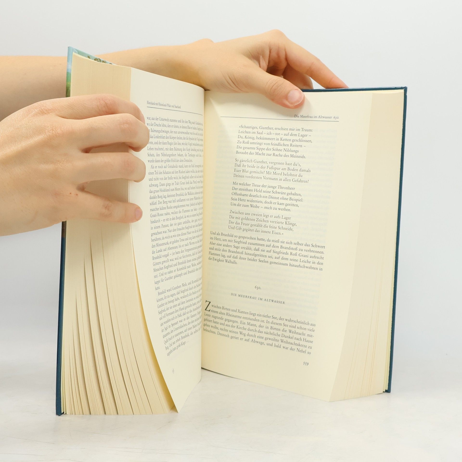Heinz Rölleke Das große deutsche Sagenbuch
