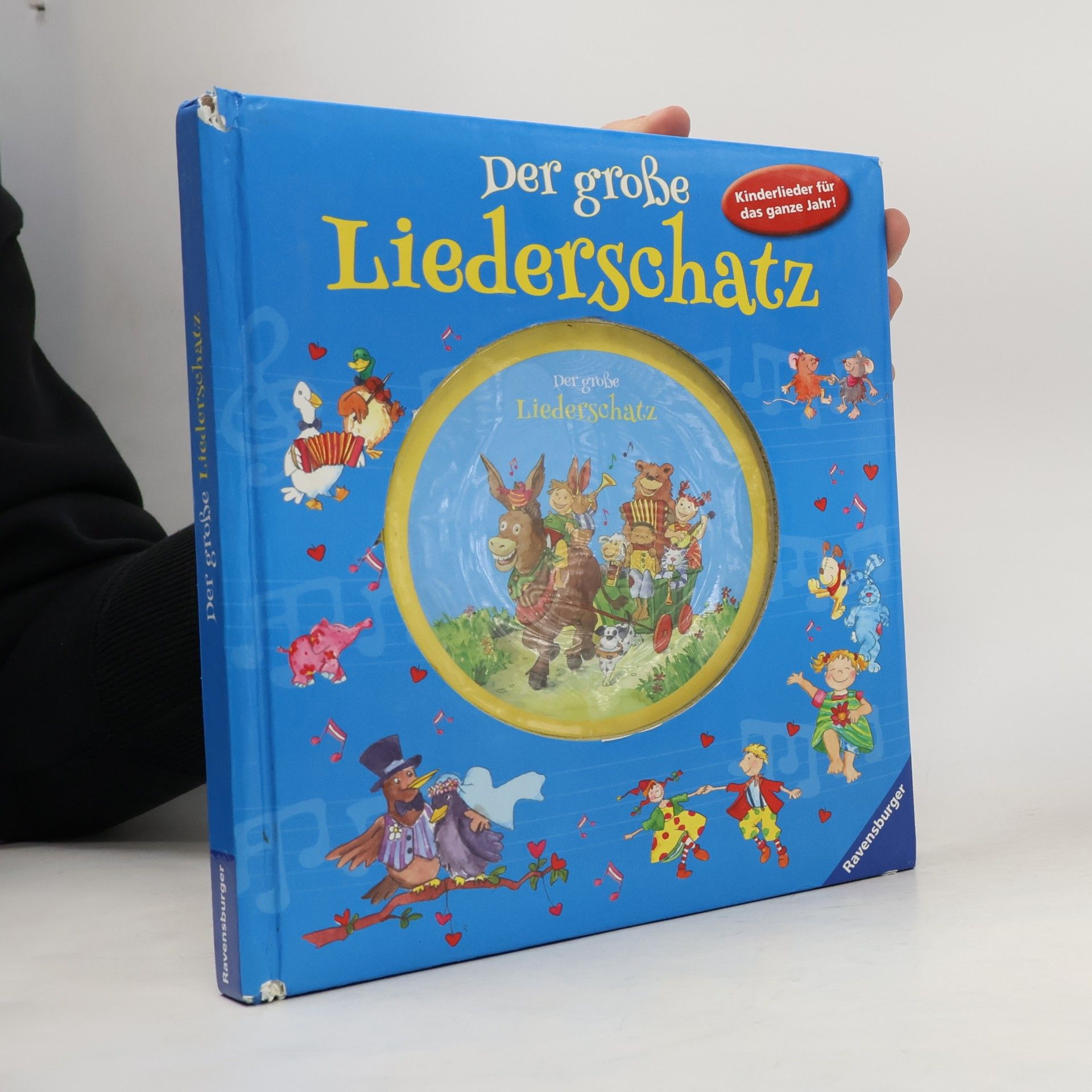 Kolektiv autorů Der große Liederschatz