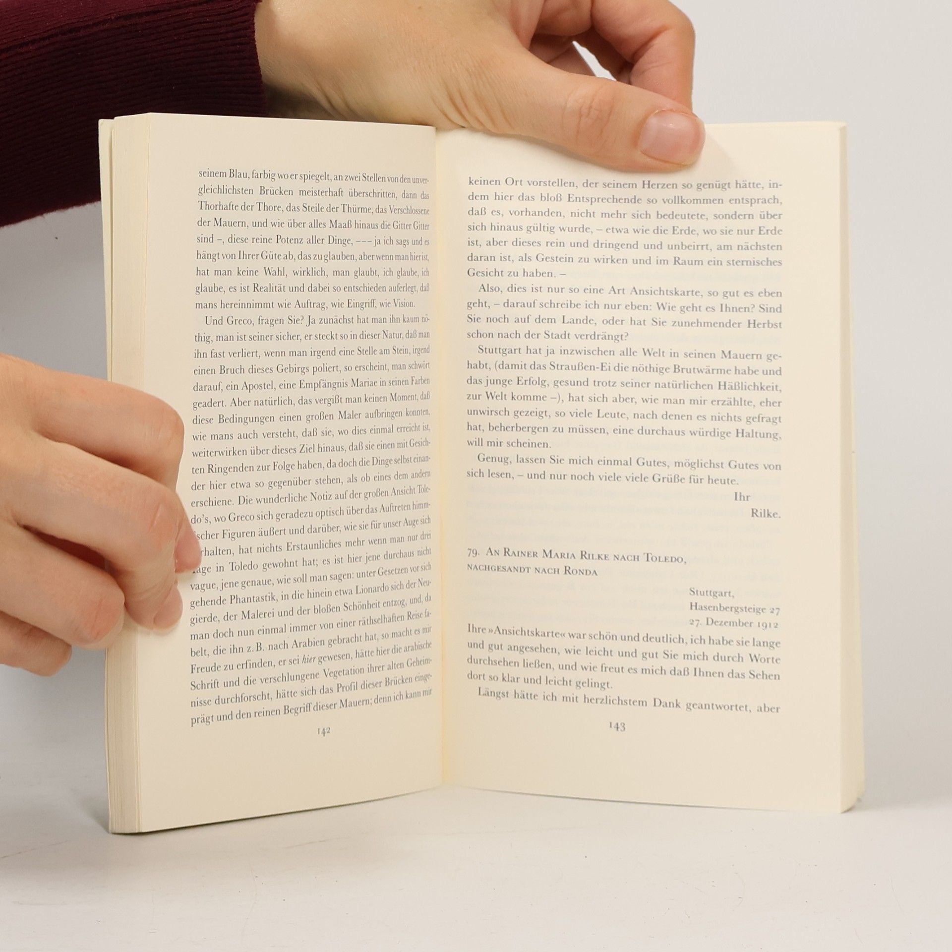 Rainer Maria Rilke Briefwechsel
