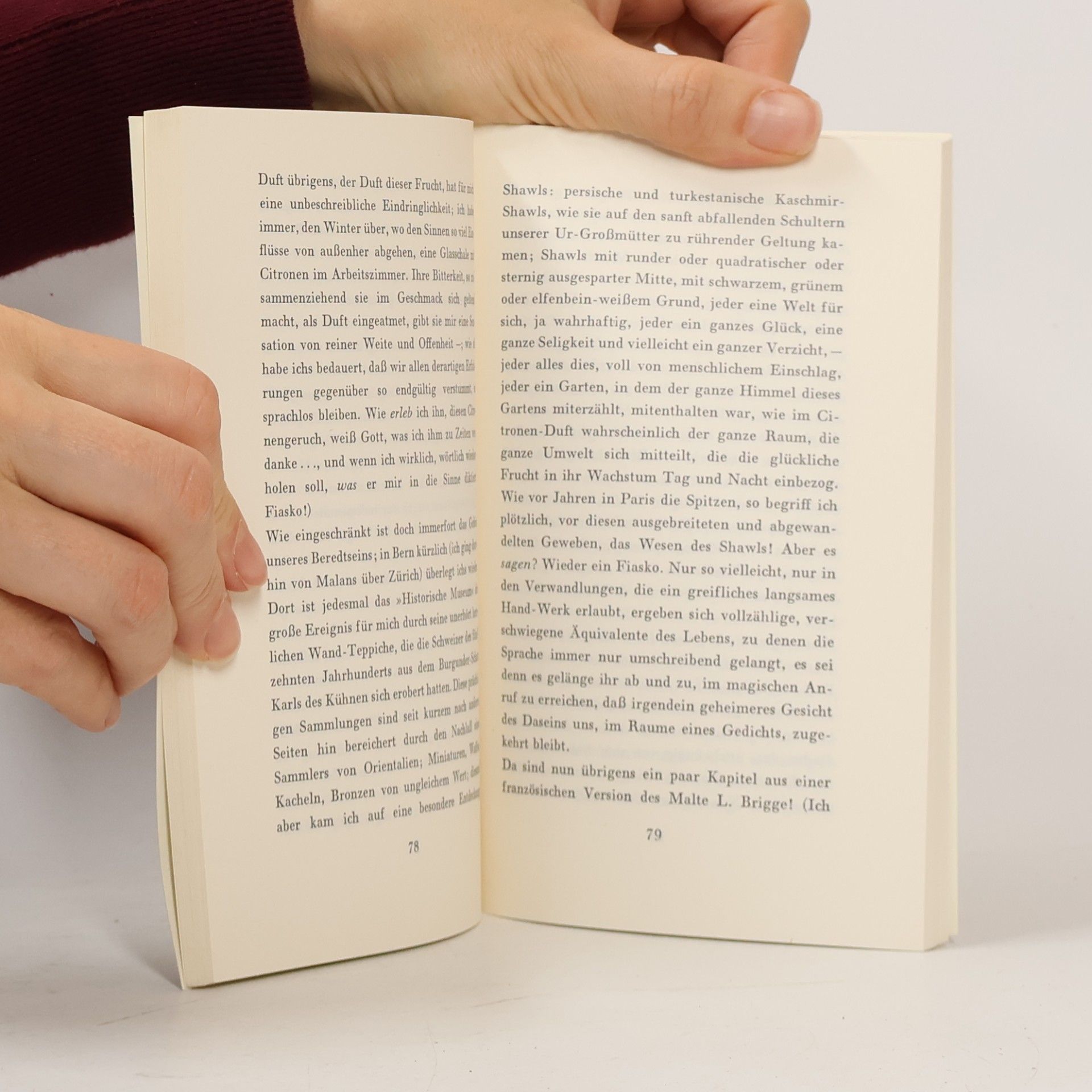 Rainer Maria Rilke Die Briefe an Gräfin Sizzo