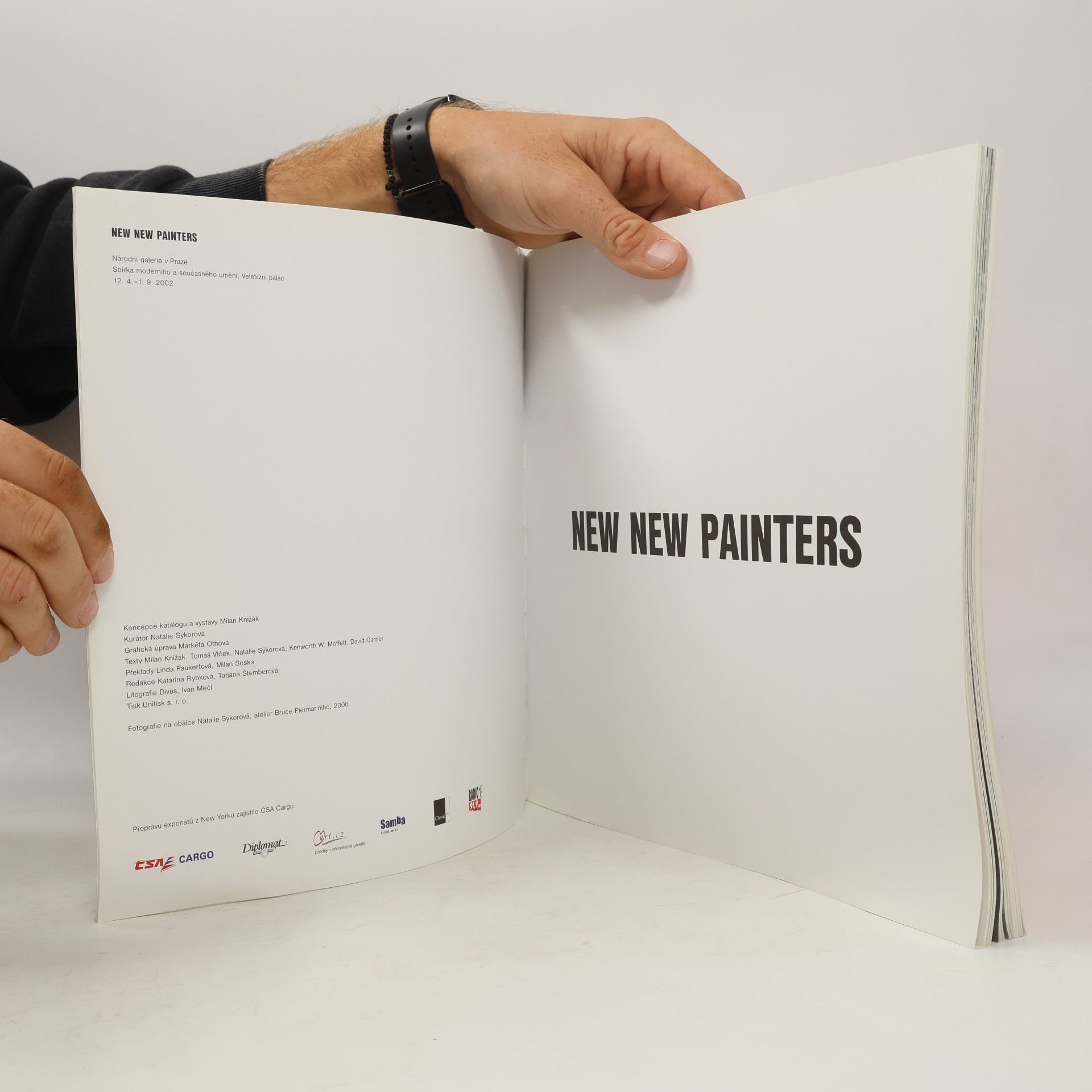 Milan Knížák New New Painters
