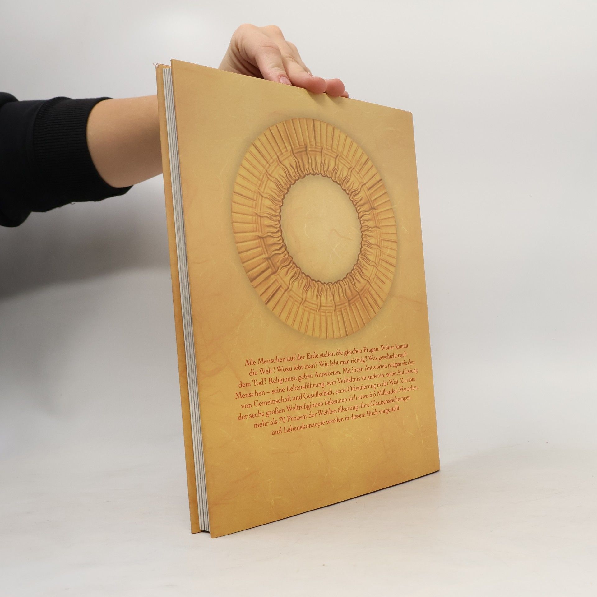 Teja Fiedler Die sechs Weltreligionen: alles über Buddhismus, Judentum, Hinduismus, Islam, Taoismus, Christentum