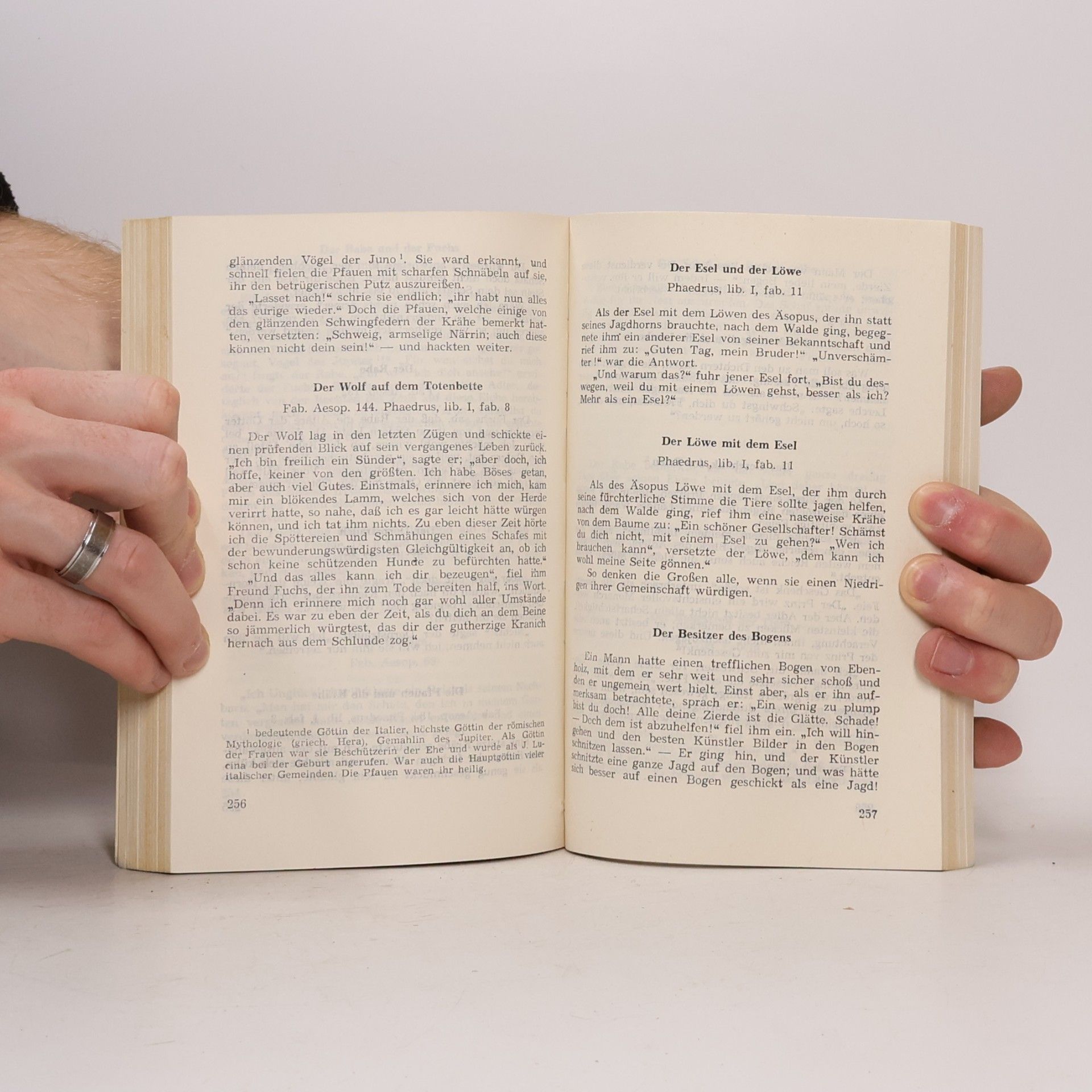 Autorenkollektiv Der Wolf und das Lamm
