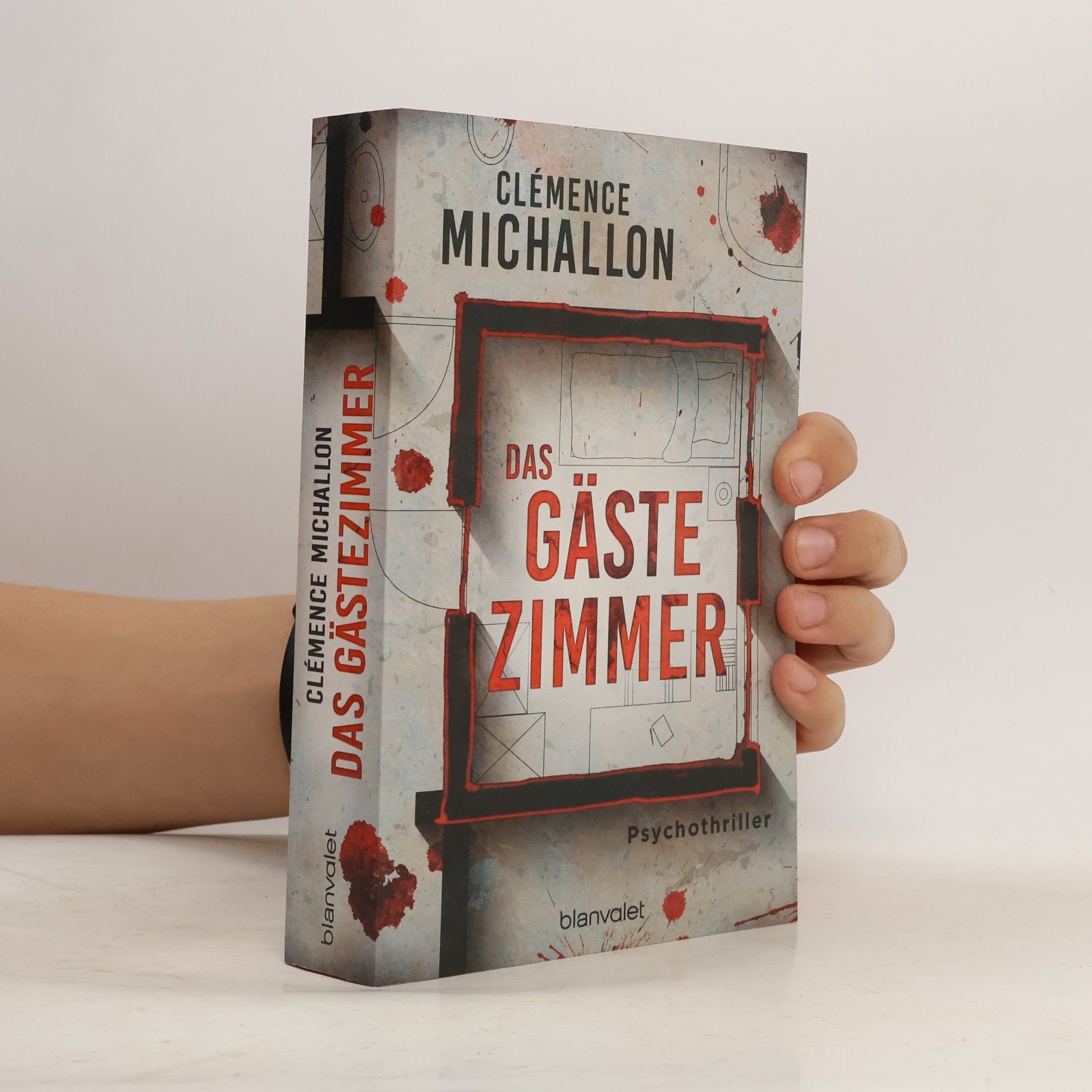 Clémence Michallon Das Gästezimmer