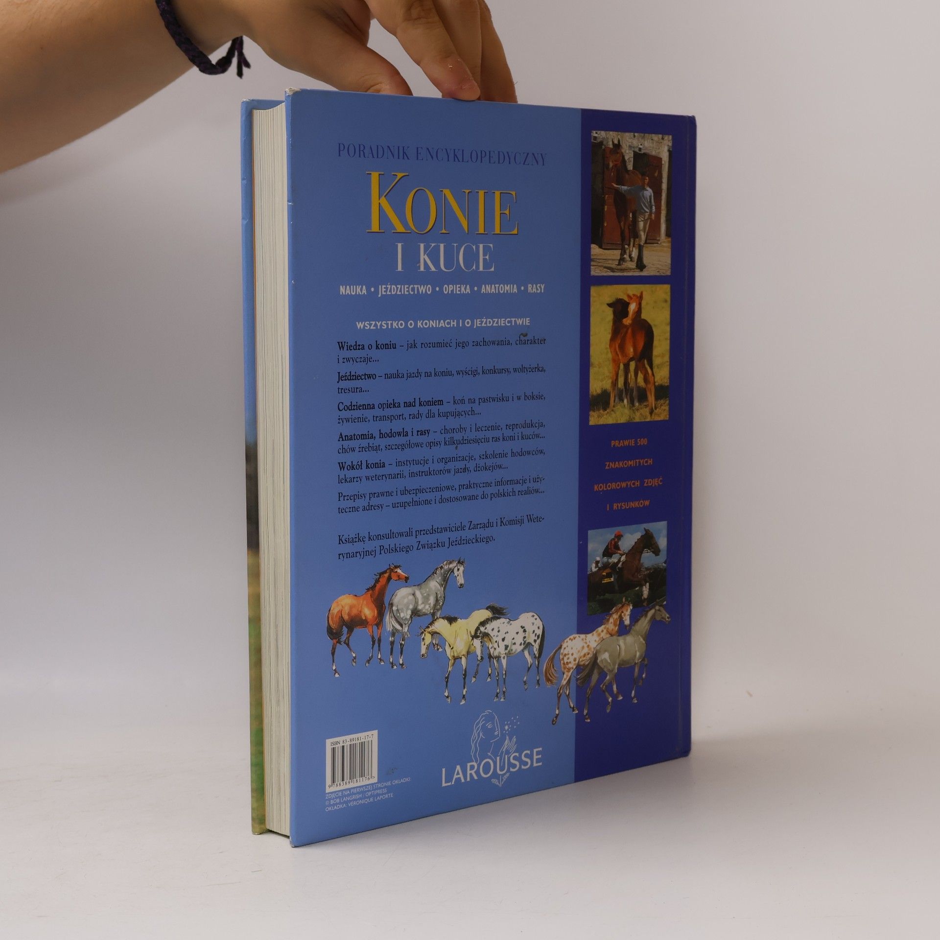 Bertrand de Perthuis Konie i Kuce