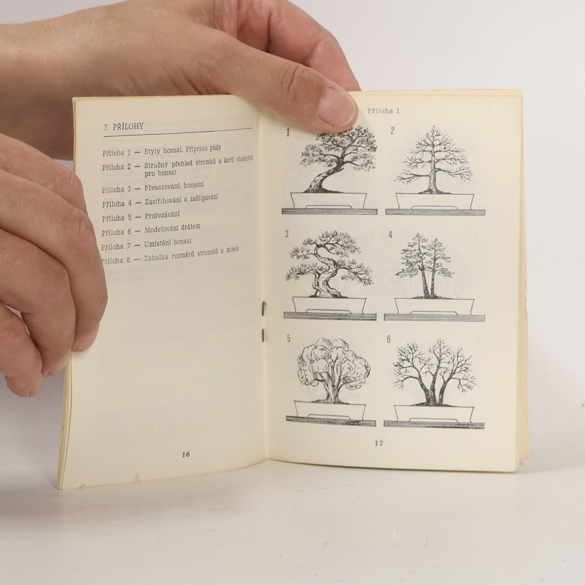 Emanuel Lukeš Bonsai. Stručné pojednání o umění pěstování miniaturních stromků