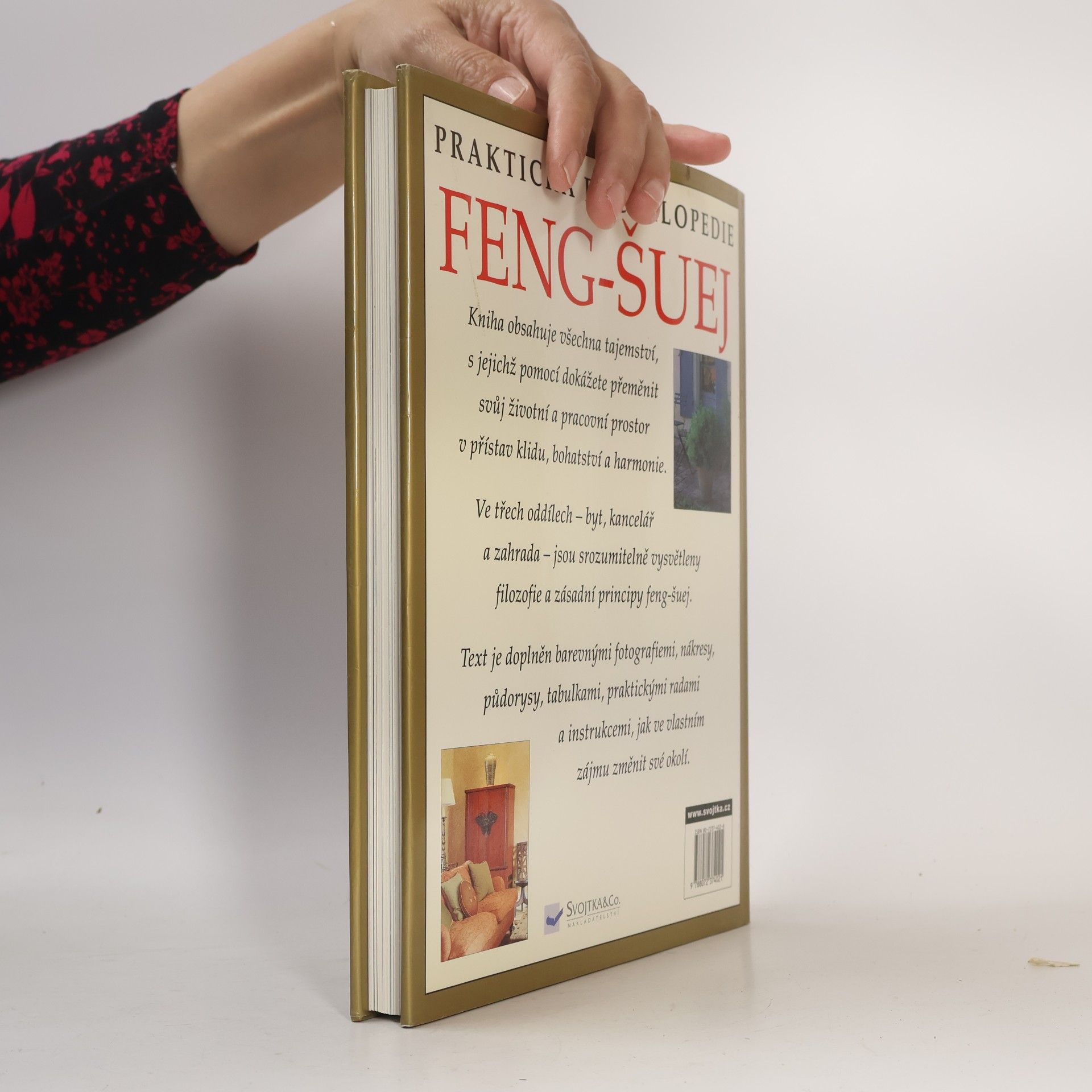 Gill Hale Praktická encyklopedie feng-šuej