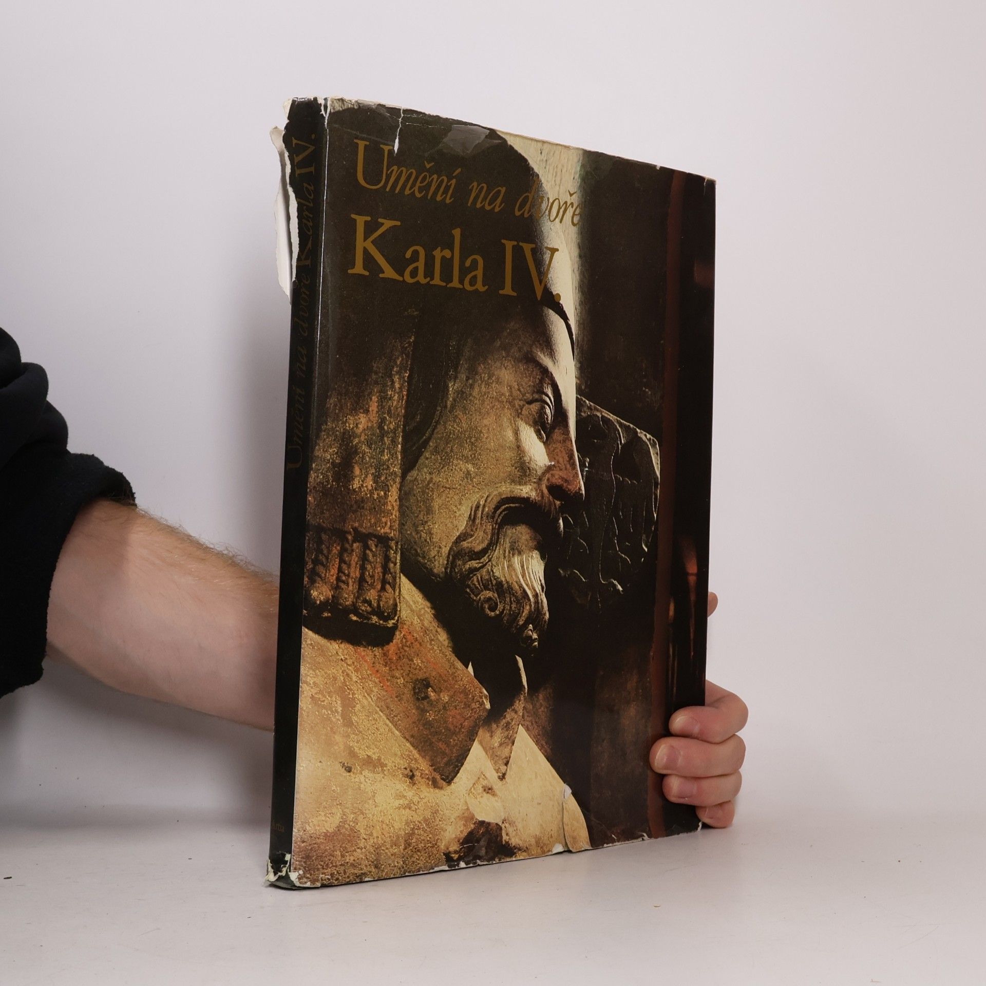 Karel Stejskal Umění na dvoře Karla IV.