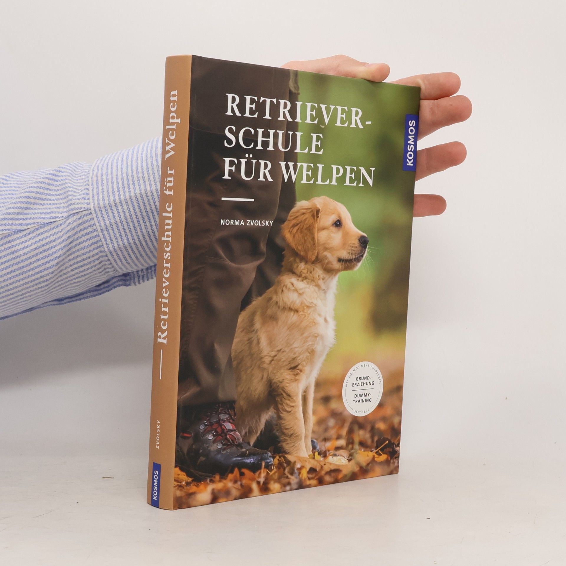 Norma Zvolsky Retriever-Schule für Welpen