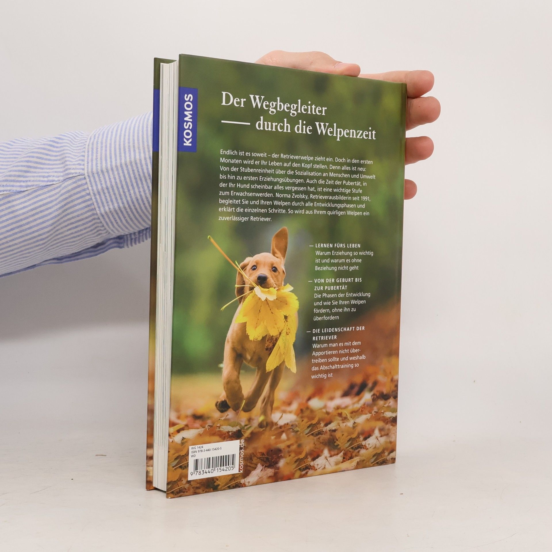 Norma Zvolsky Retriever-Schule für Welpen