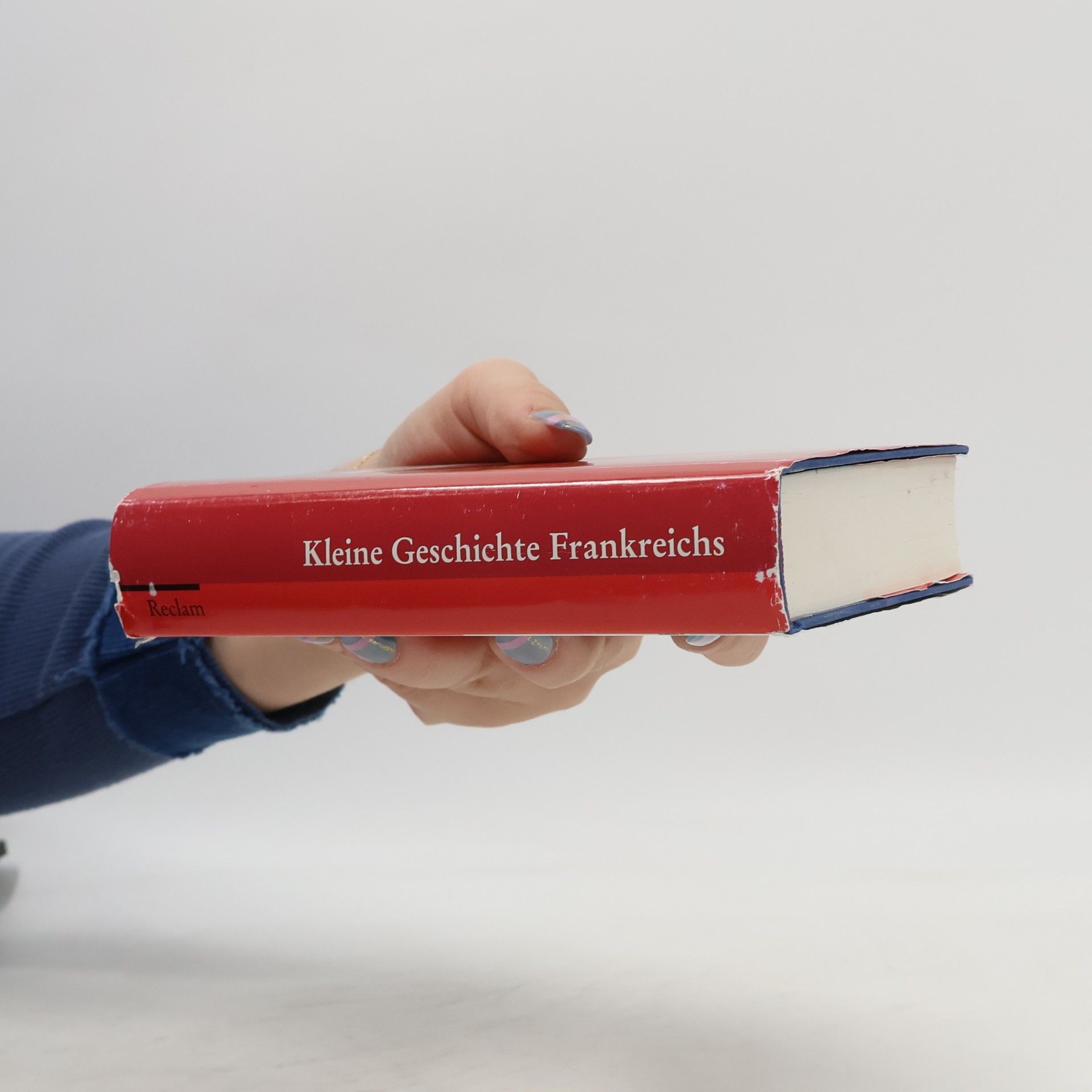 Heinz Gerhard Haupt Kleine Geschichte Frankreichs