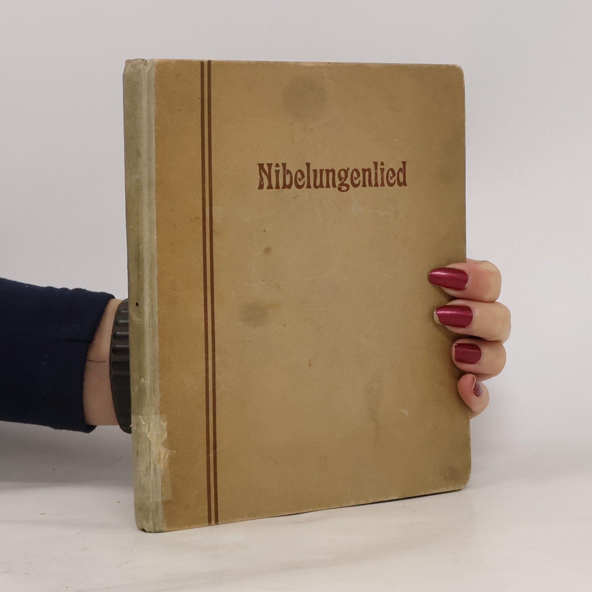 Das Nibelungenlied