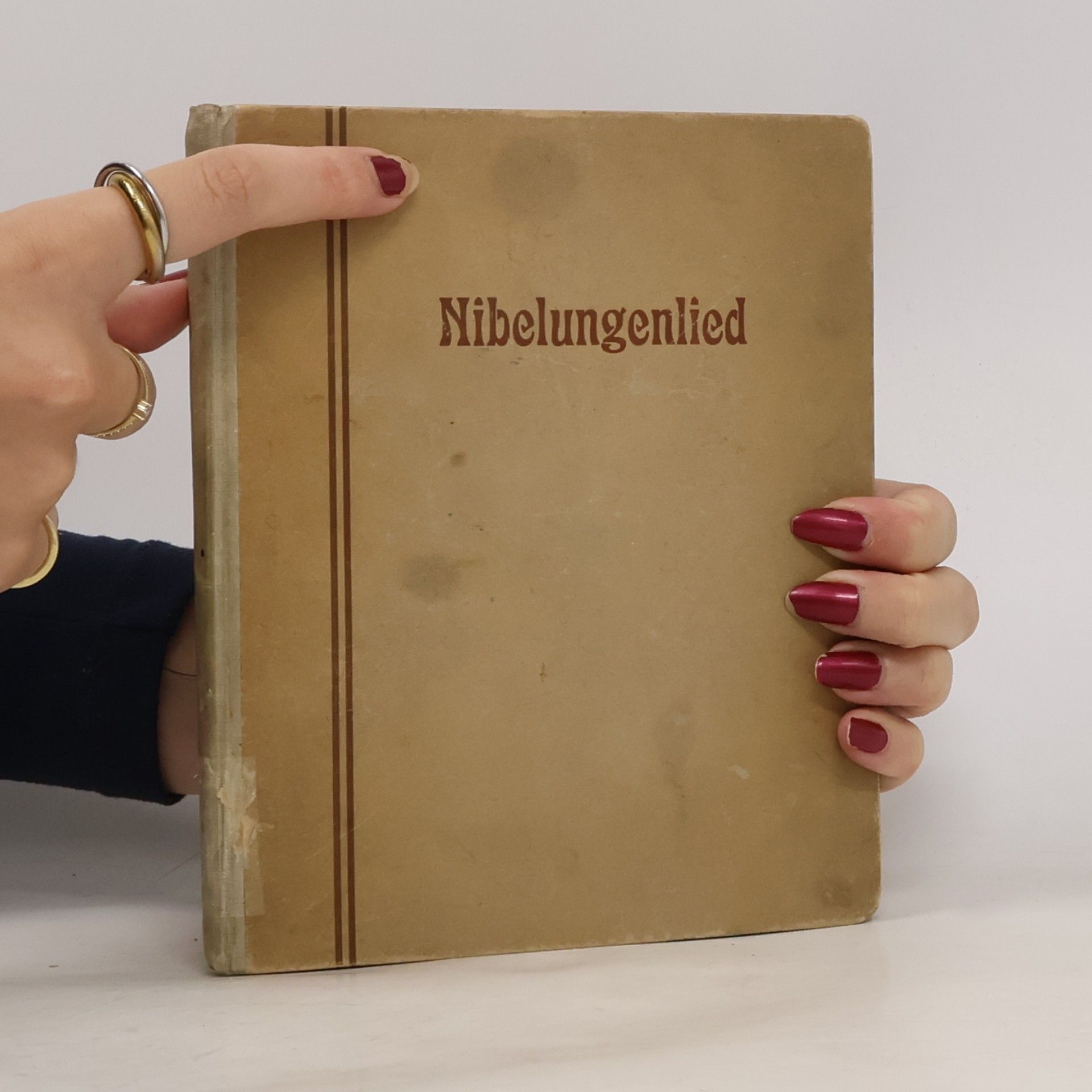 Johann Zapf Das Nibelungenlied