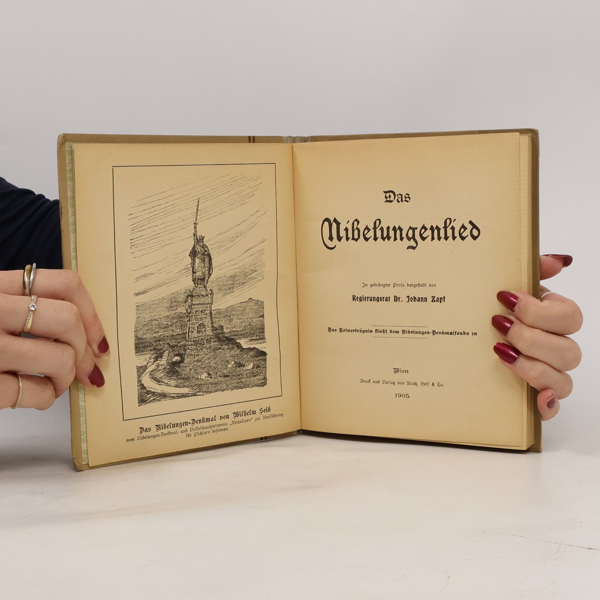 Johann Zapf Das Nibelungenlied