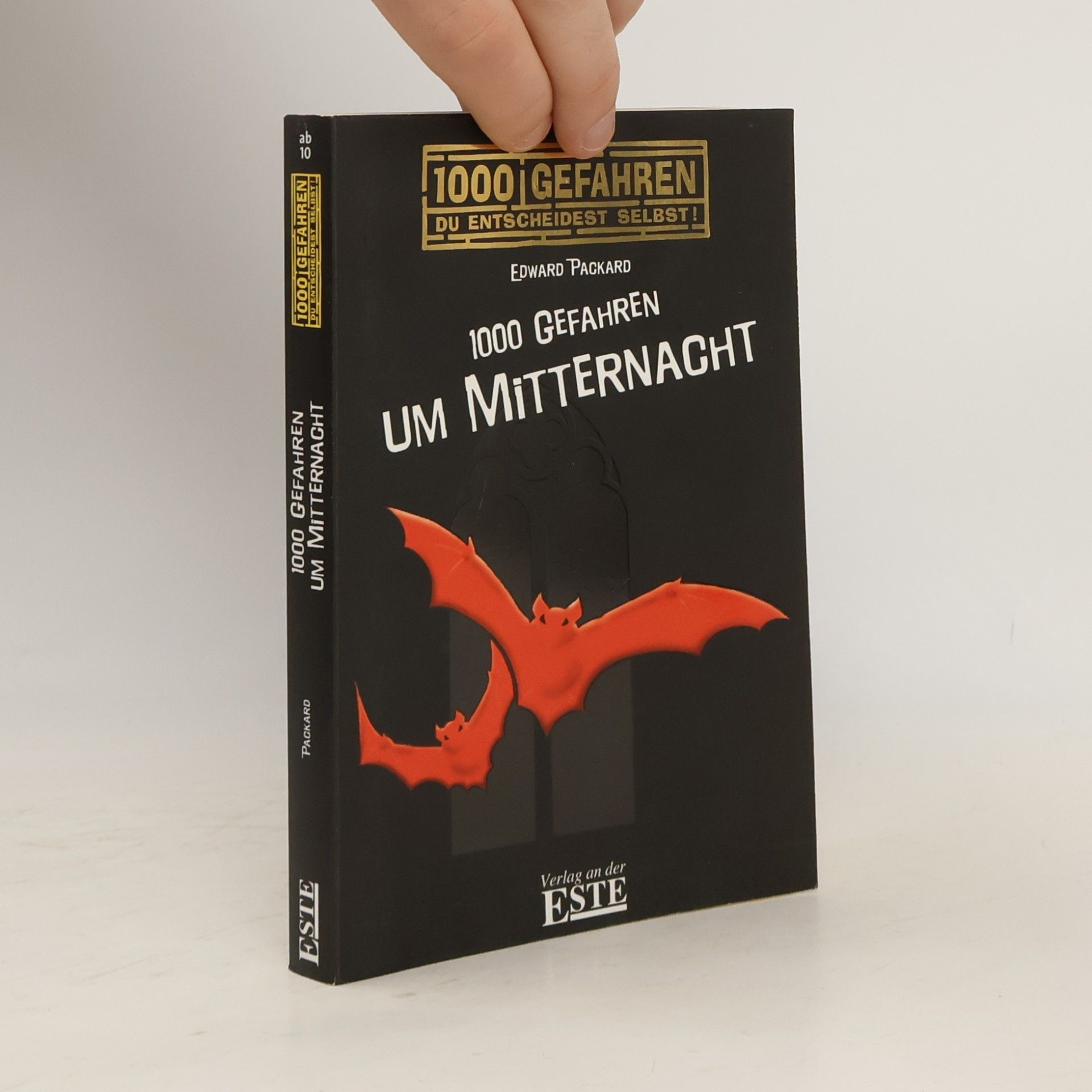 Edward Packard 1000 Gefahren um Mitternacht