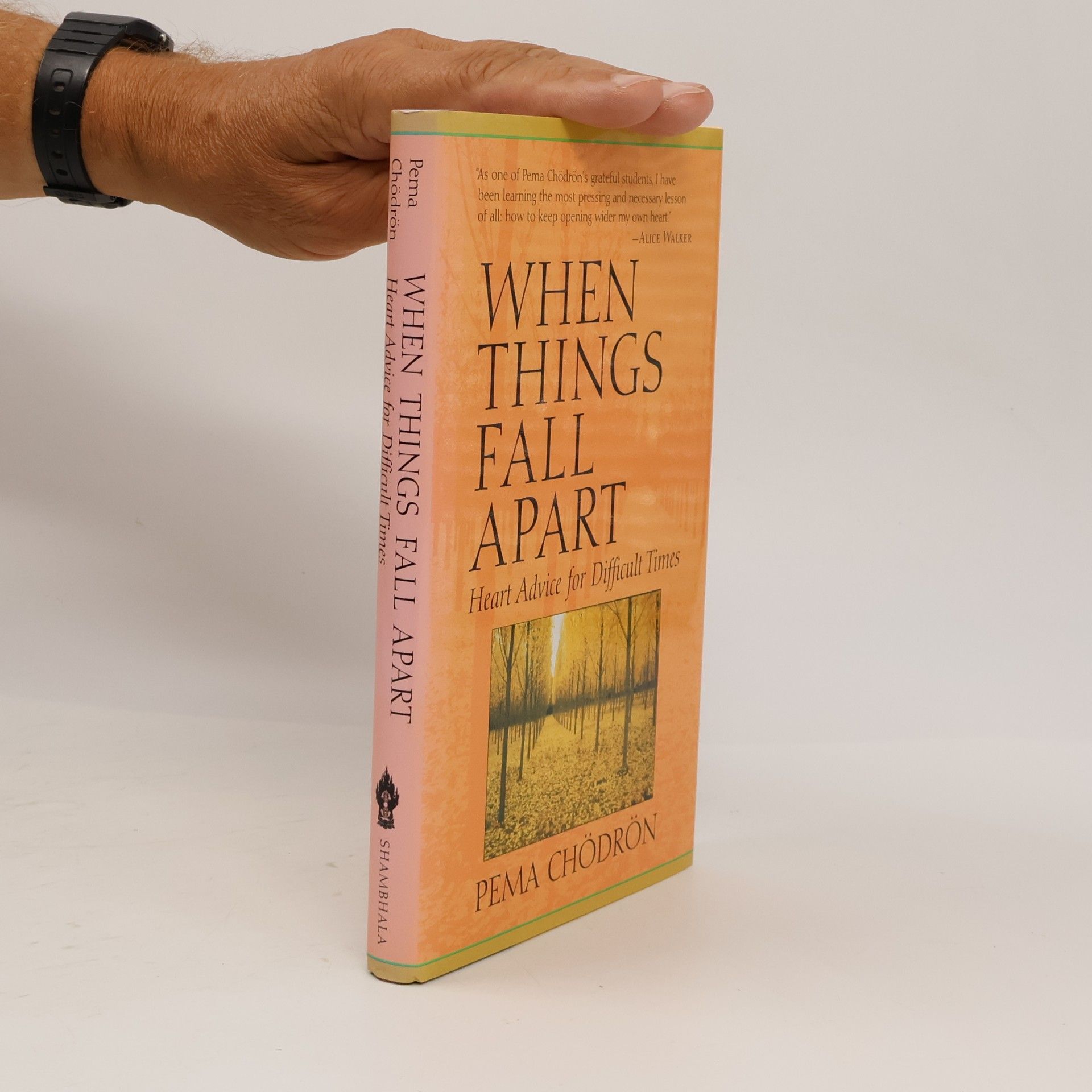 When Things Fall Apart