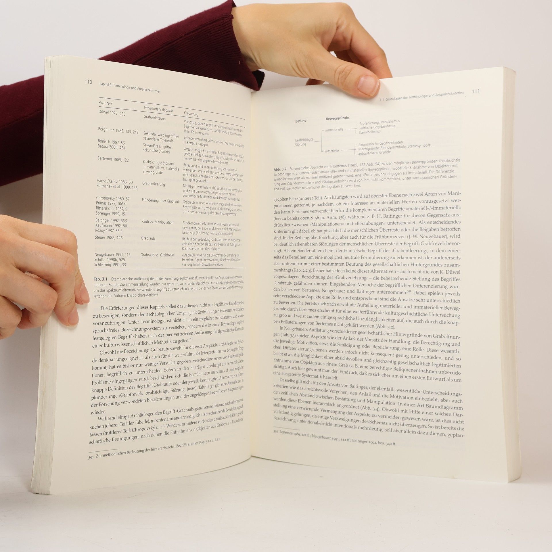 Christoph Kümmel Tübinger Schriften zur Ur- und frühgeschichtlichen Archäologie - 9: Ur- und frühgeschichtlicher Grabraub