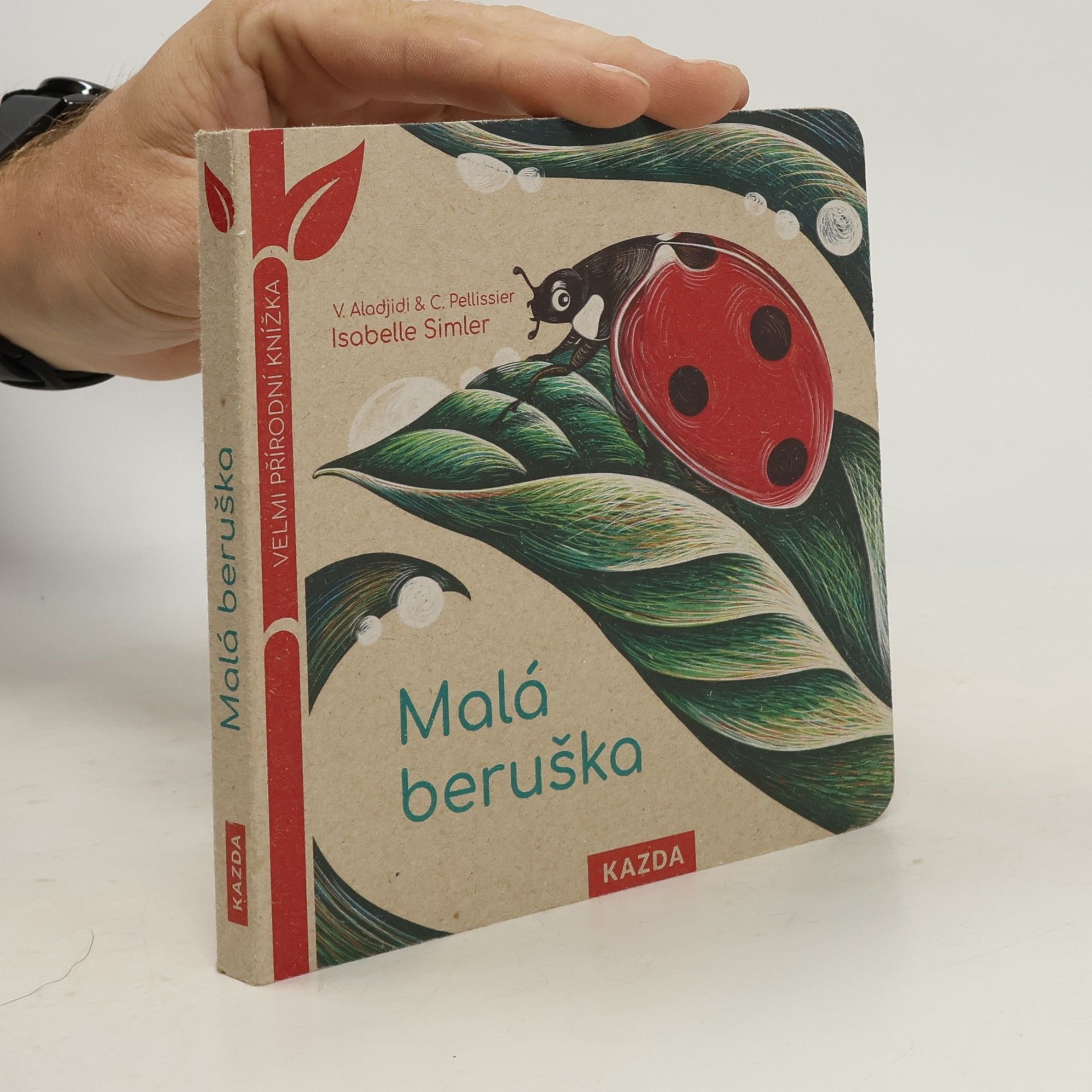 Isabelle Simler Malá beruška