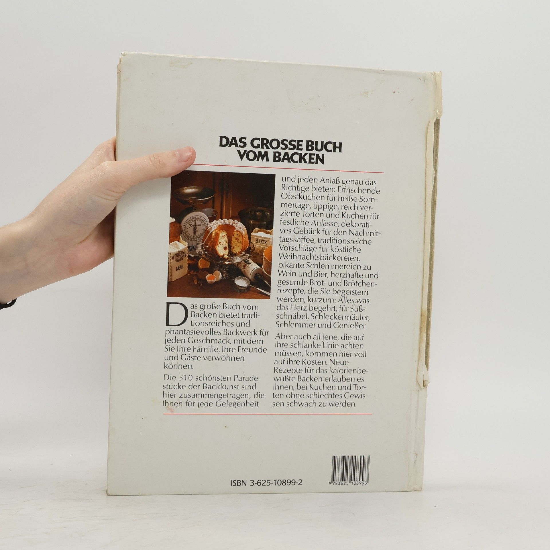 Kolektiv autorů Grosses Buch vom Backen