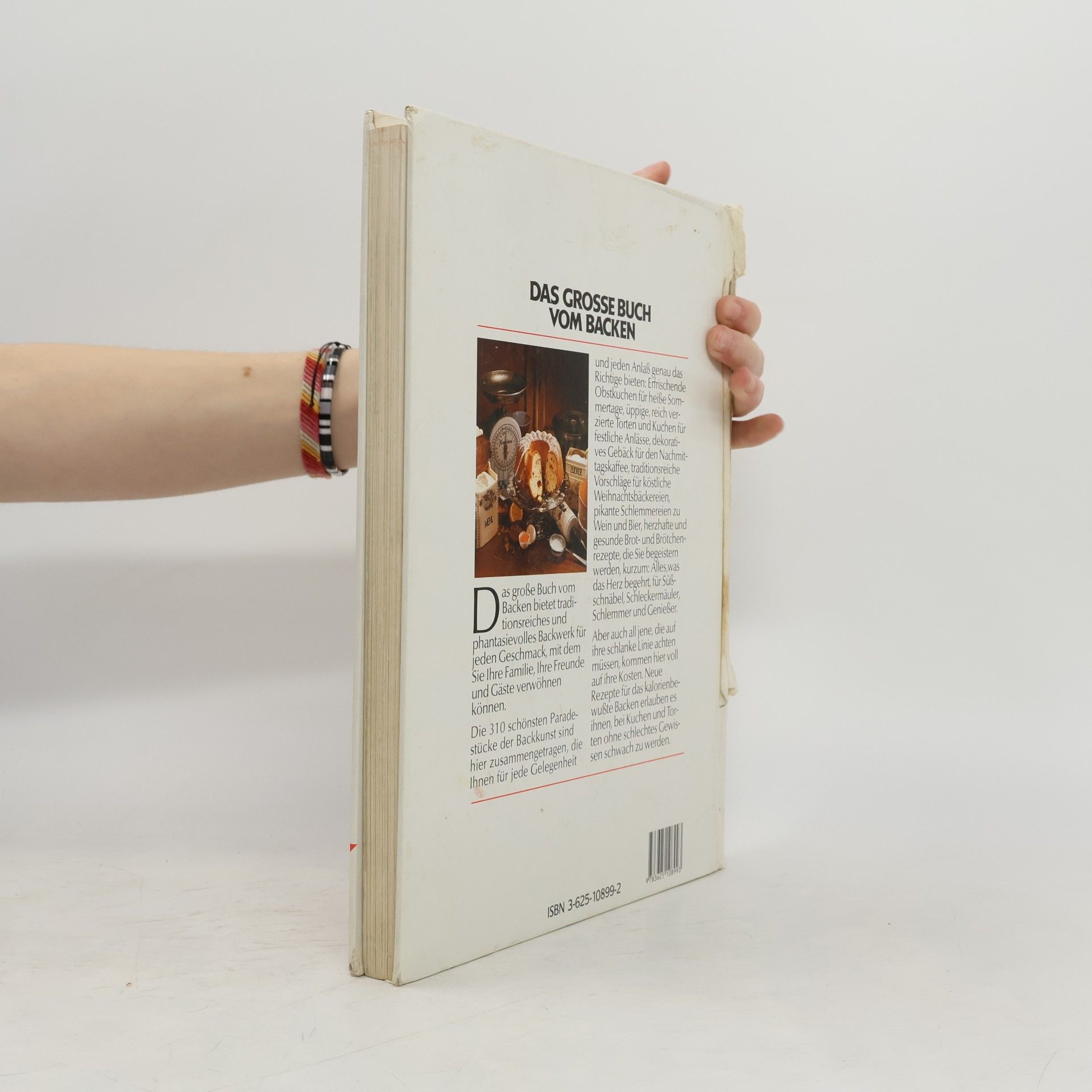 Kolektiv autorů Grosses Buch vom Backen