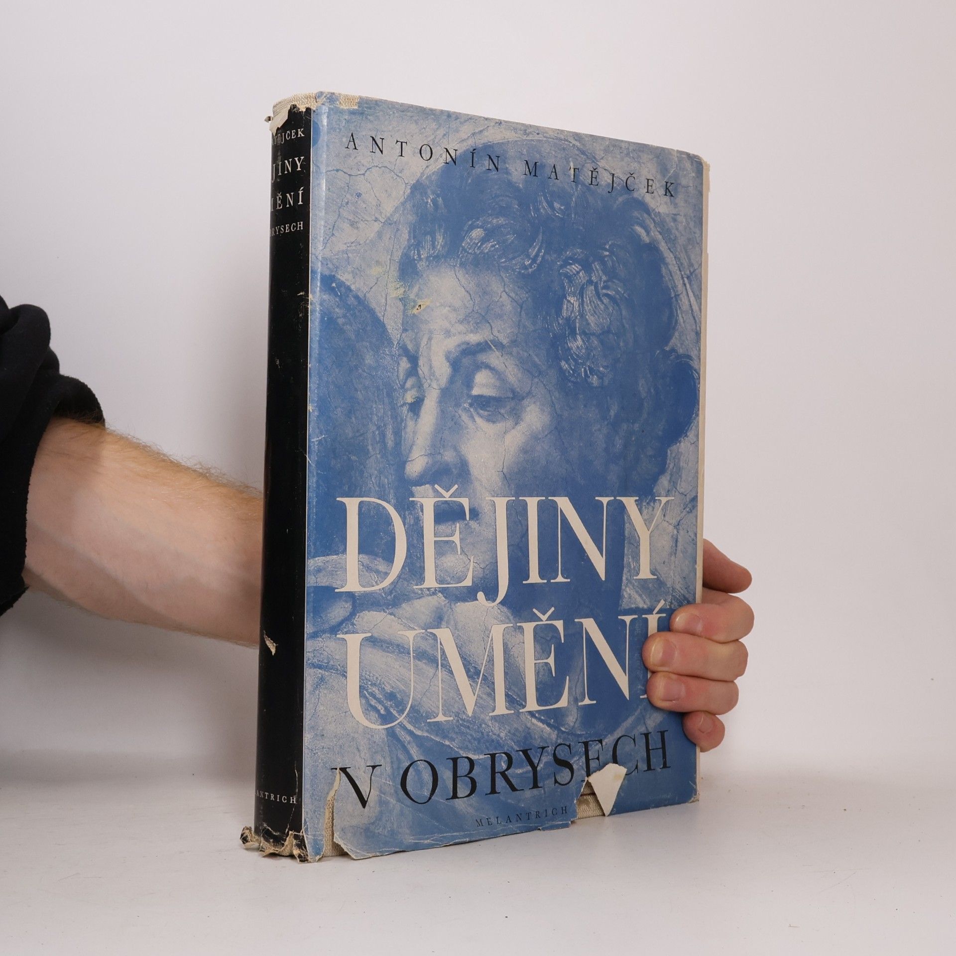 Matějček Antonín Dějiny umění v obrysech