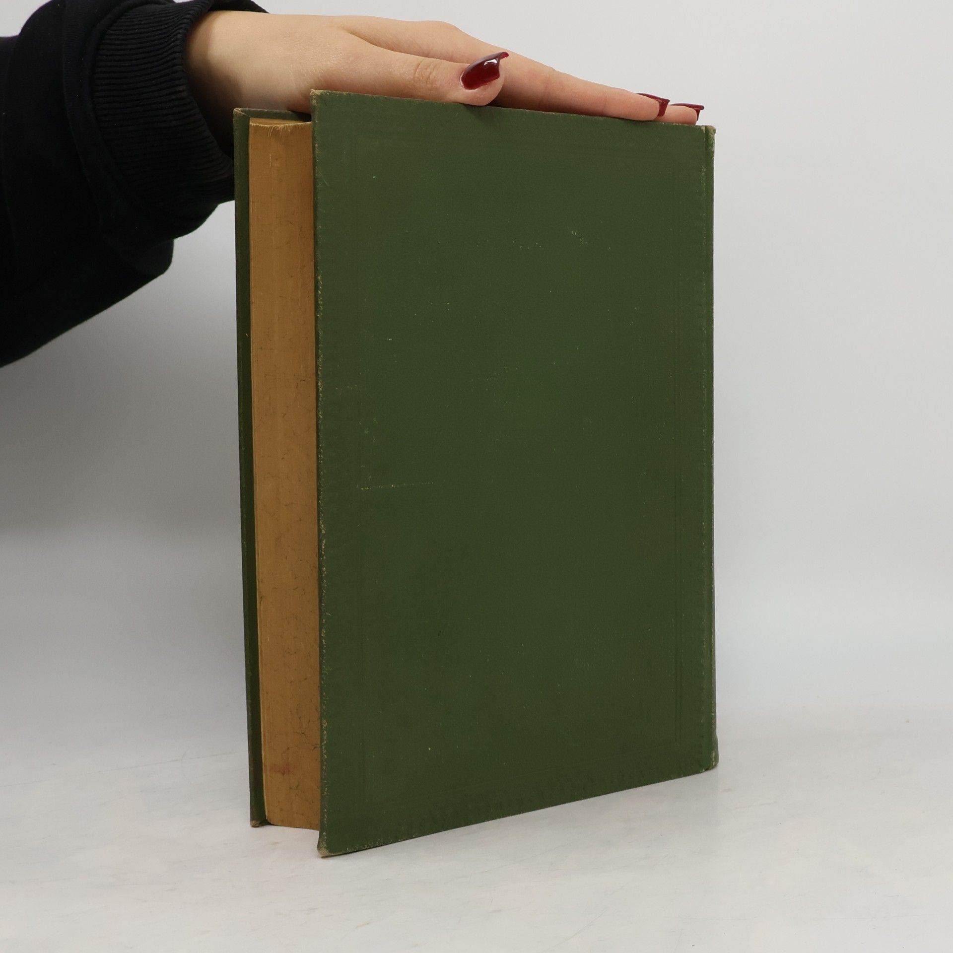 Th Rümpler Handbuch der Obstkultur