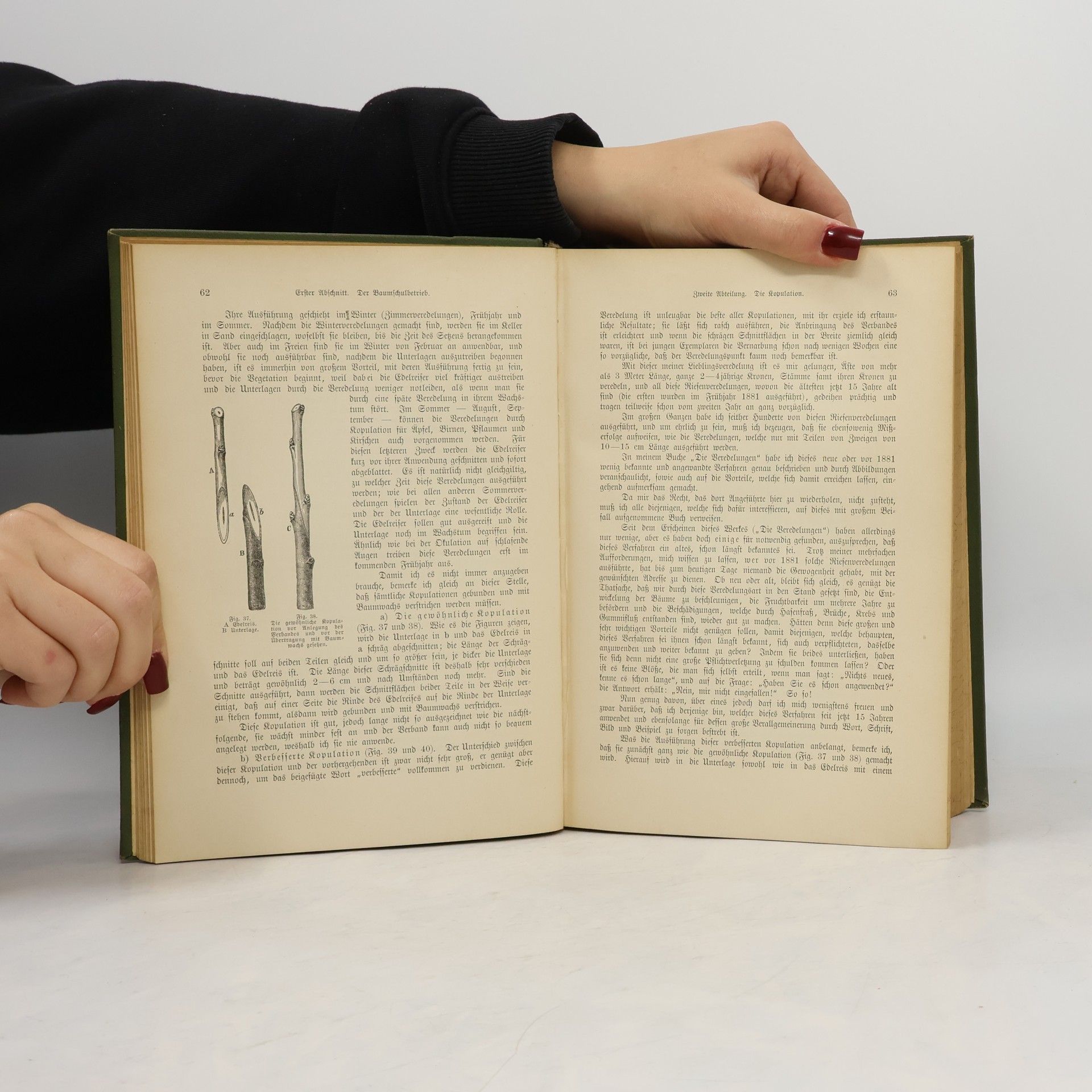 Th Rümpler Handbuch der Obstkultur