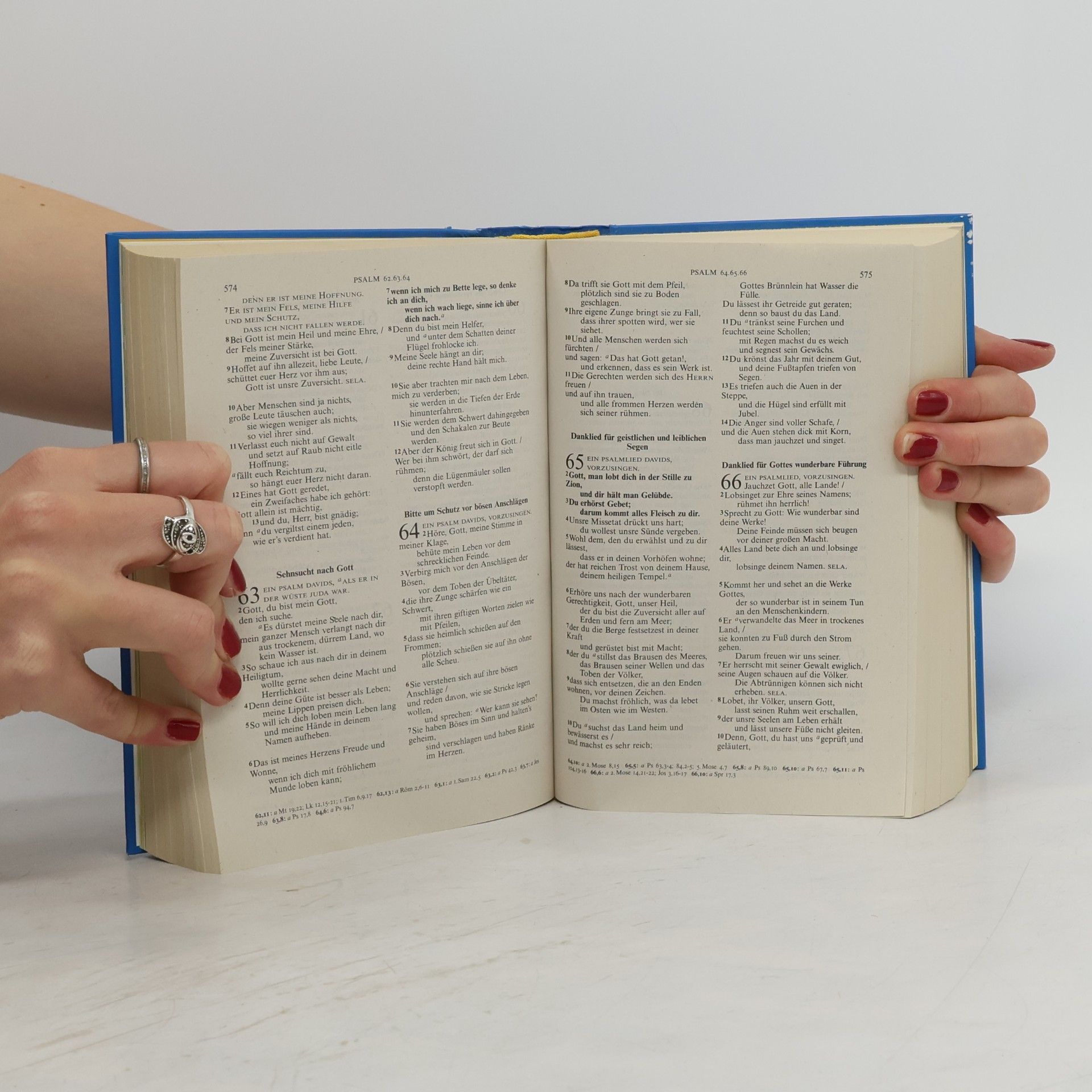 Martin Luther Lutherbibel für dich