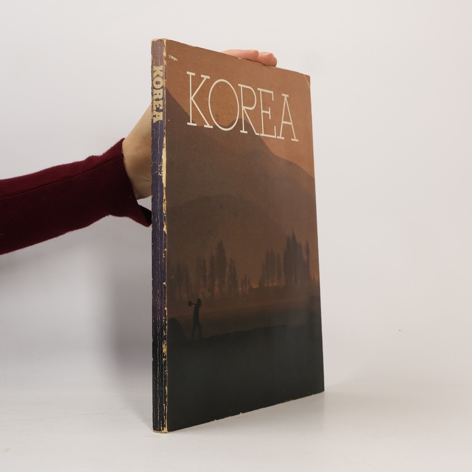 kolektiv Korea
