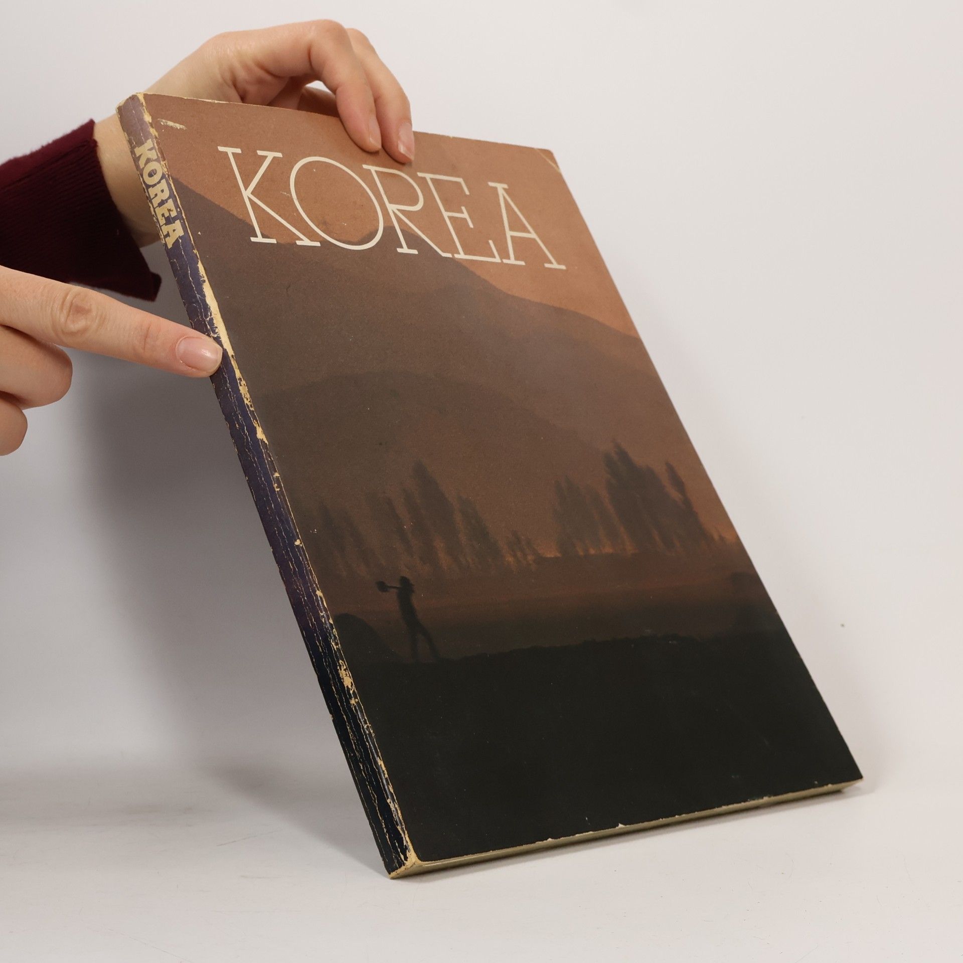 kolektiv Korea