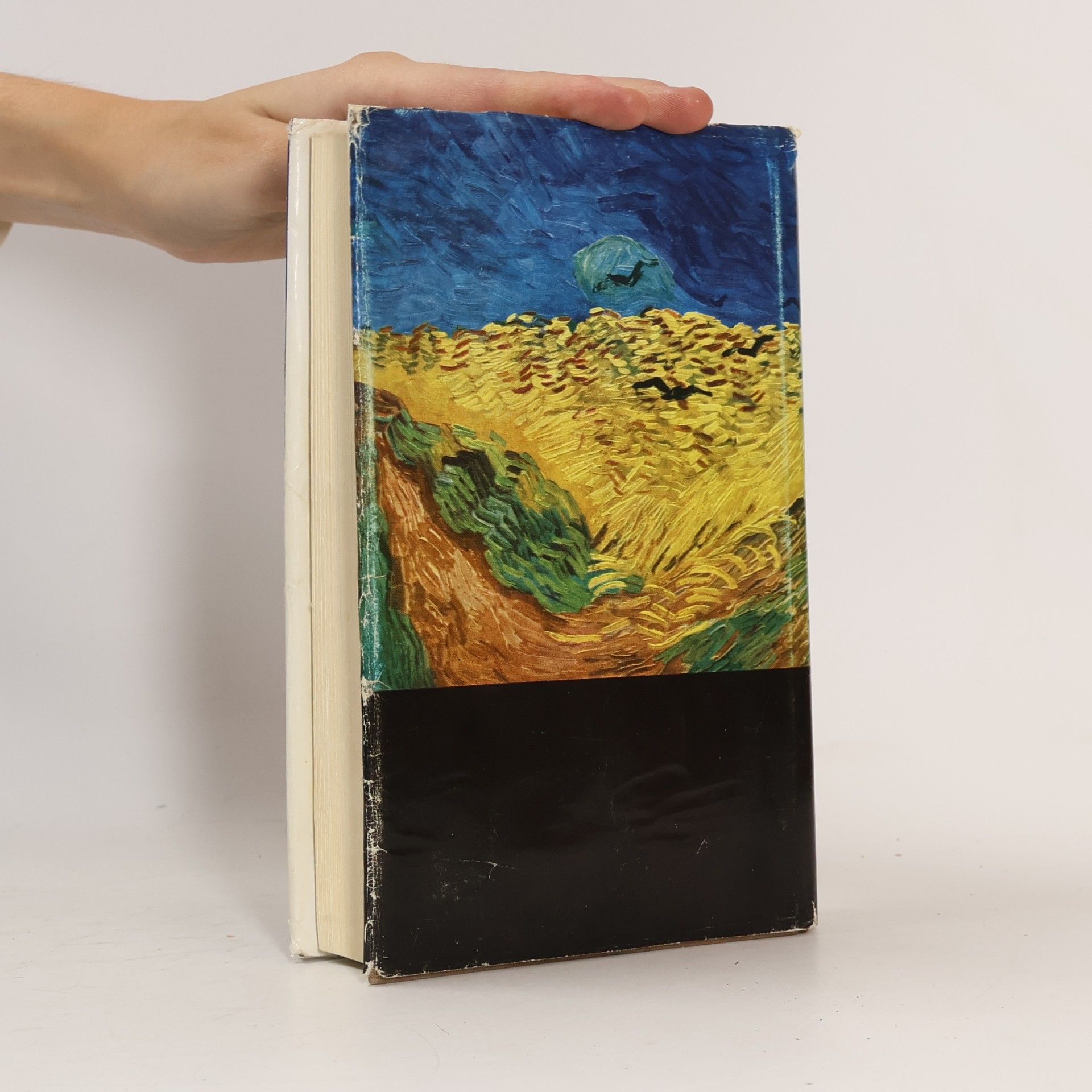 Erich Landgrebe Das kurze Leben des Vincent van Gogh