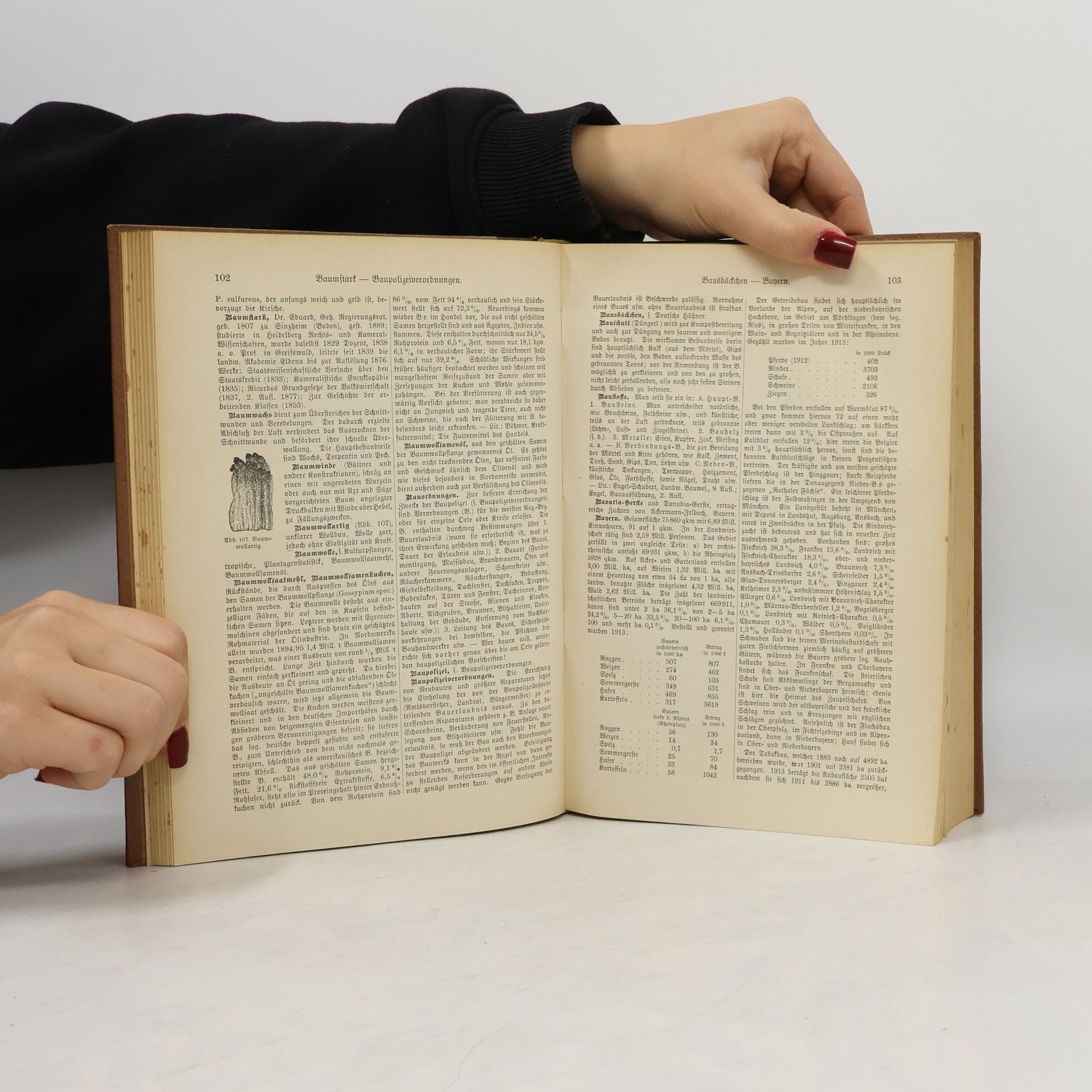 Auteurscollectief Illustriertes Landwirtschafts-Lexikon. Erster Band