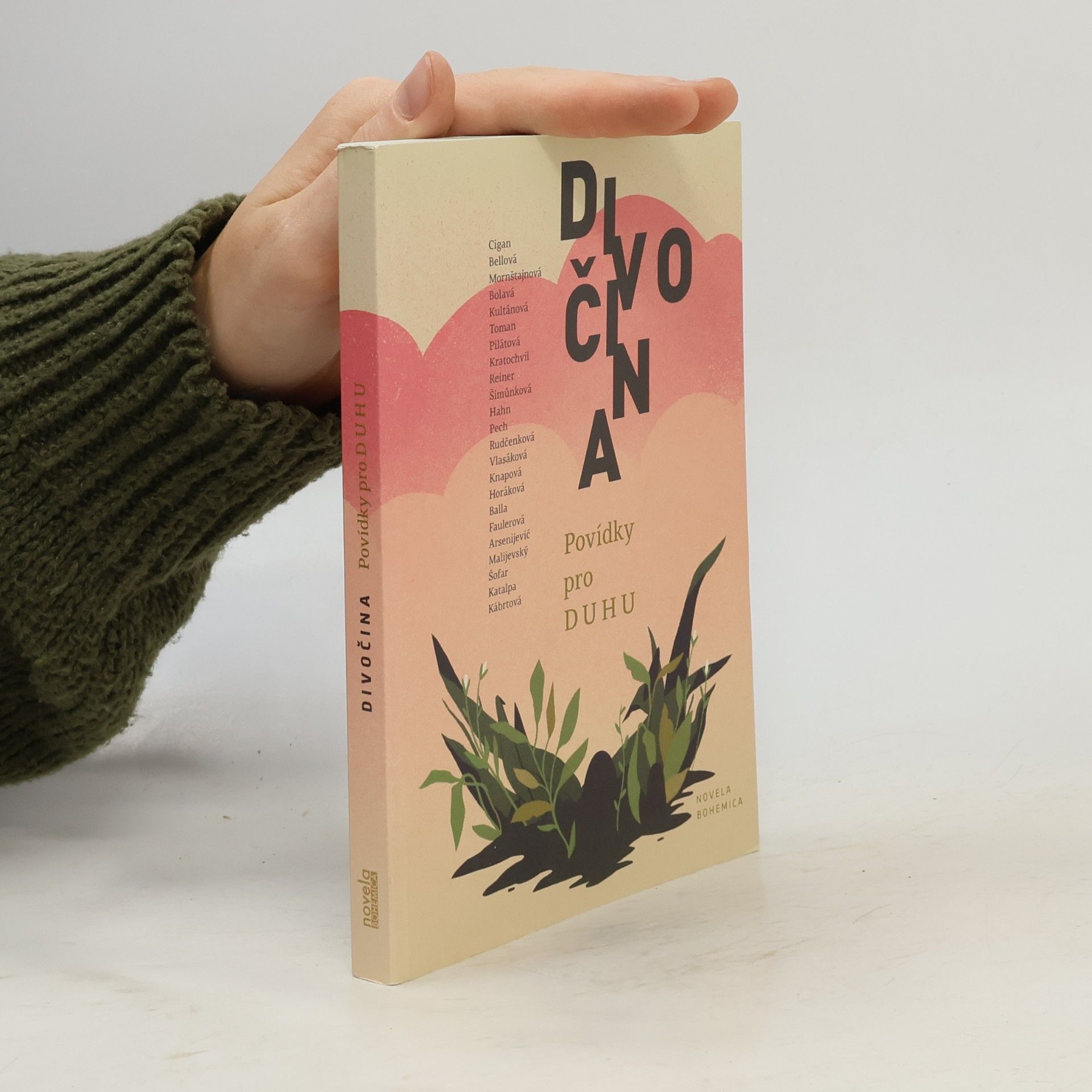 Jan Vladislav Divočina - Povídky pro Duhu