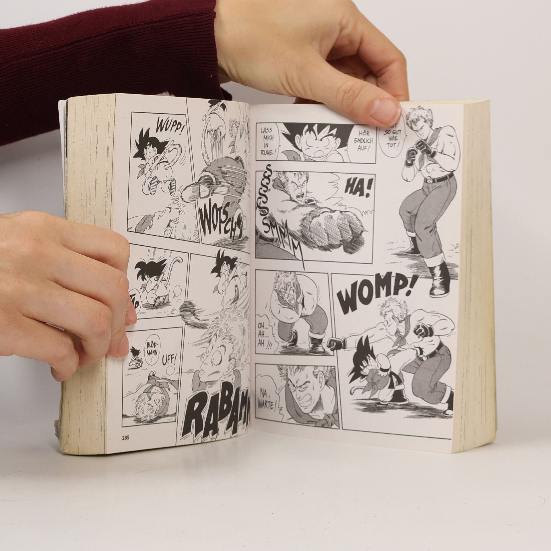 Akira Torijama Dragon Ball Massiv 2