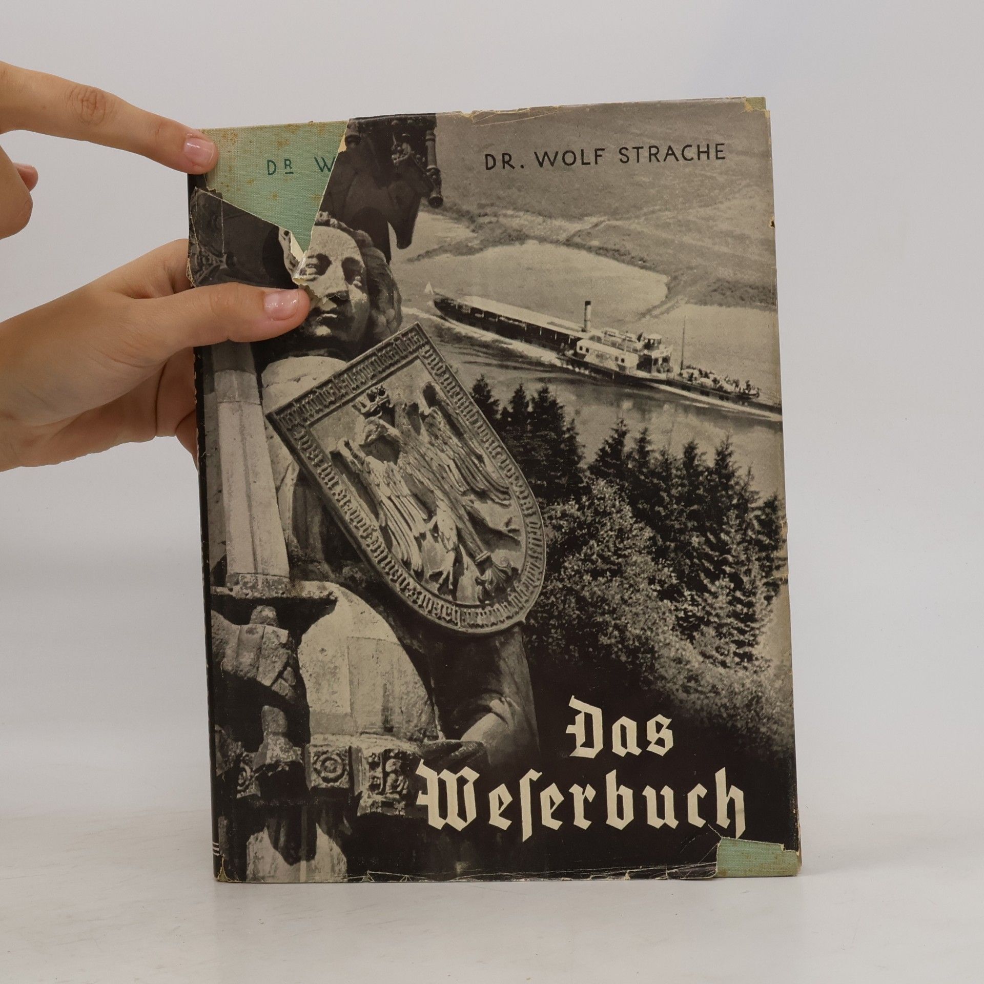 Wolf Strache Das Weserbuch